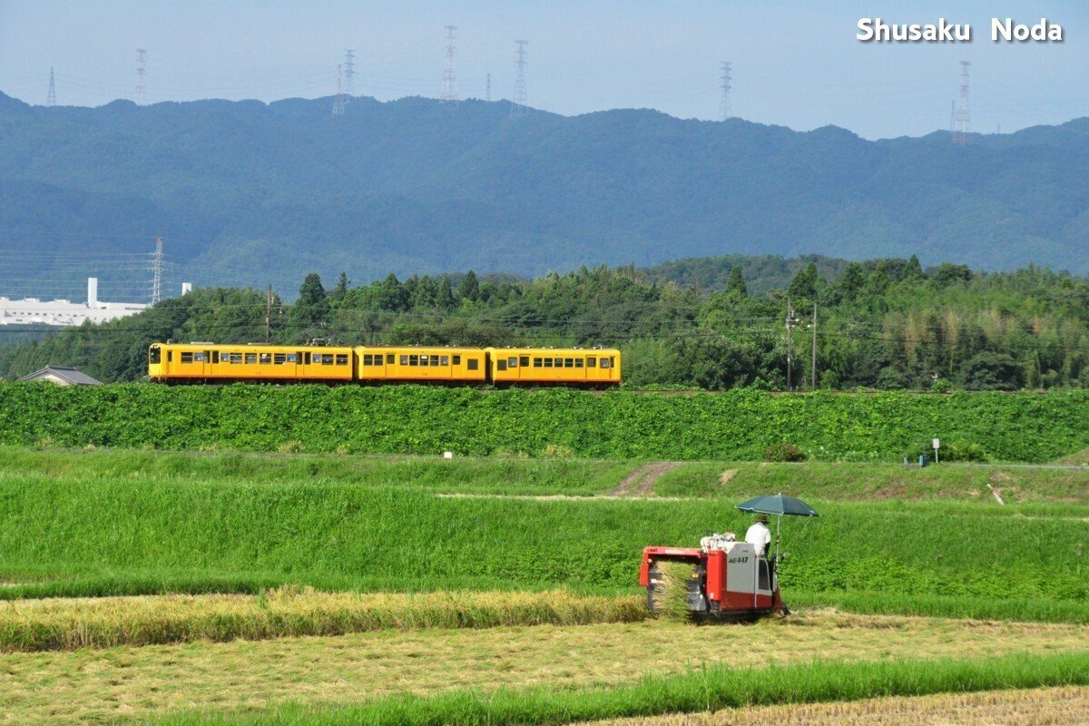 絶景実りの列車旅－鉄道風景写真館｜野田周作