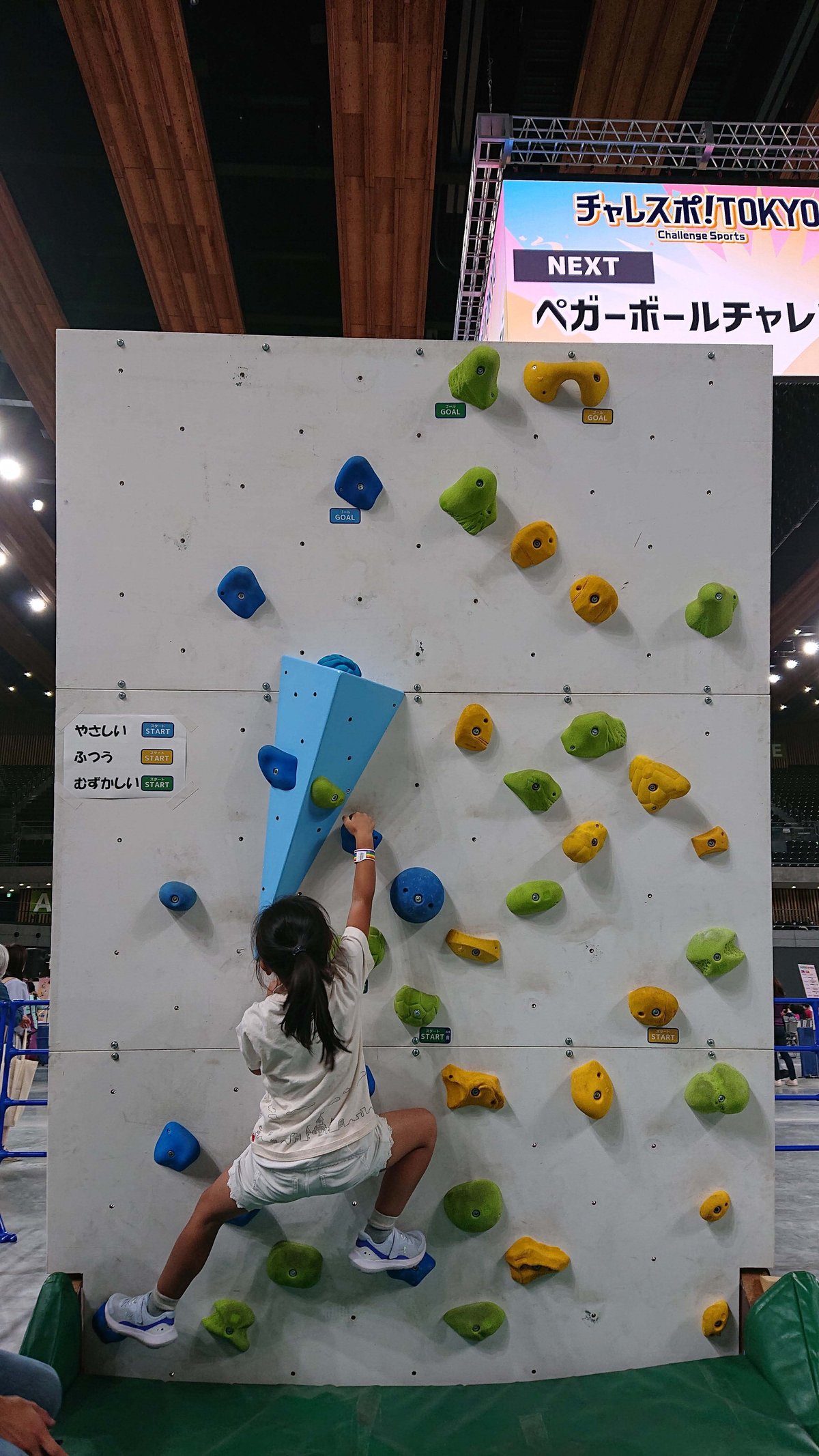 Girl climbing bouldering