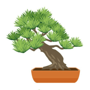 Bonsai フラワー・ガーデニング 大きめの曲がった幹の盆栽