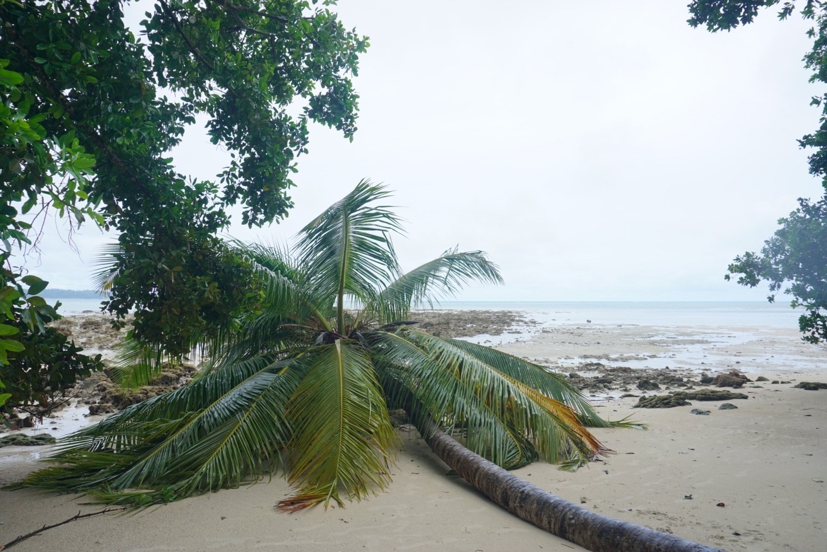 アンダマン諸島観光 まとめ①｜Kiyofumi