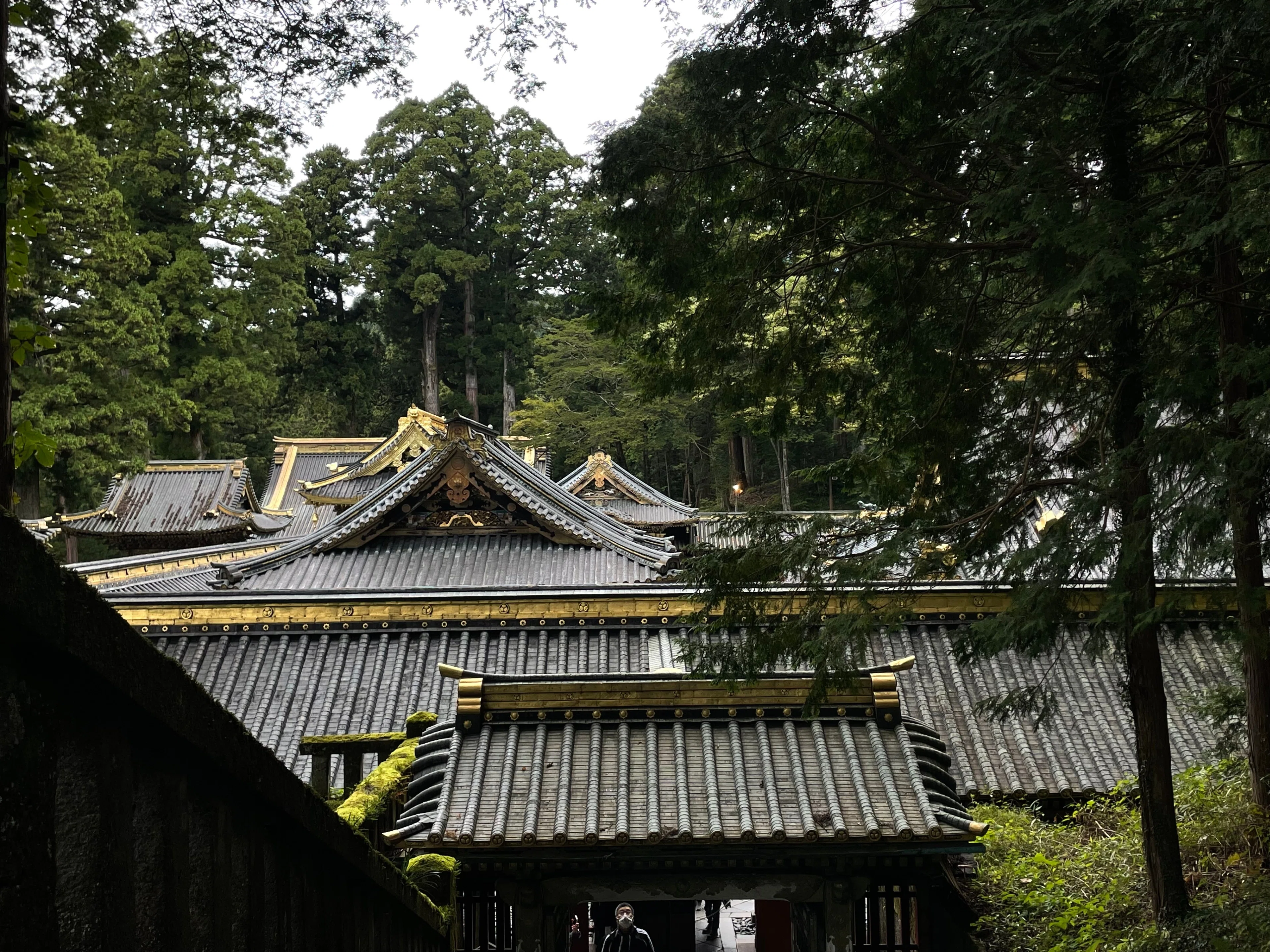 日光東照宮へ行って、久しぶりに衝撃を受けてきました｜かわかわ