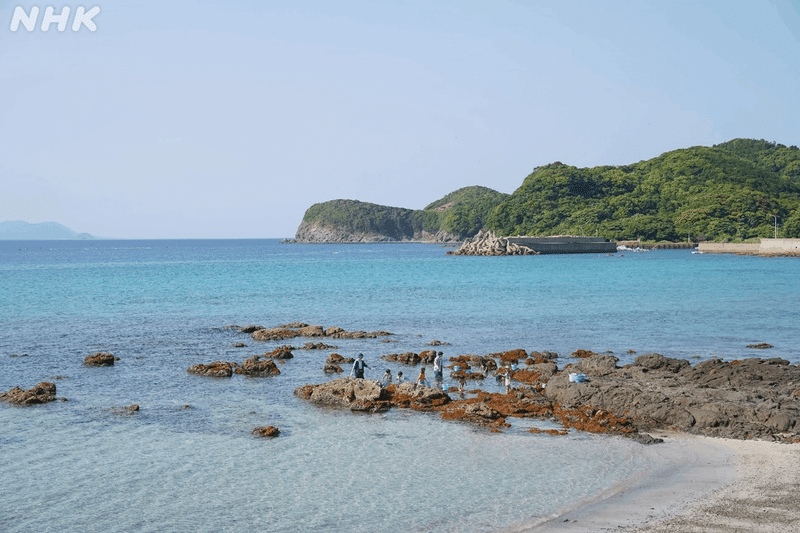 画像　五島の海