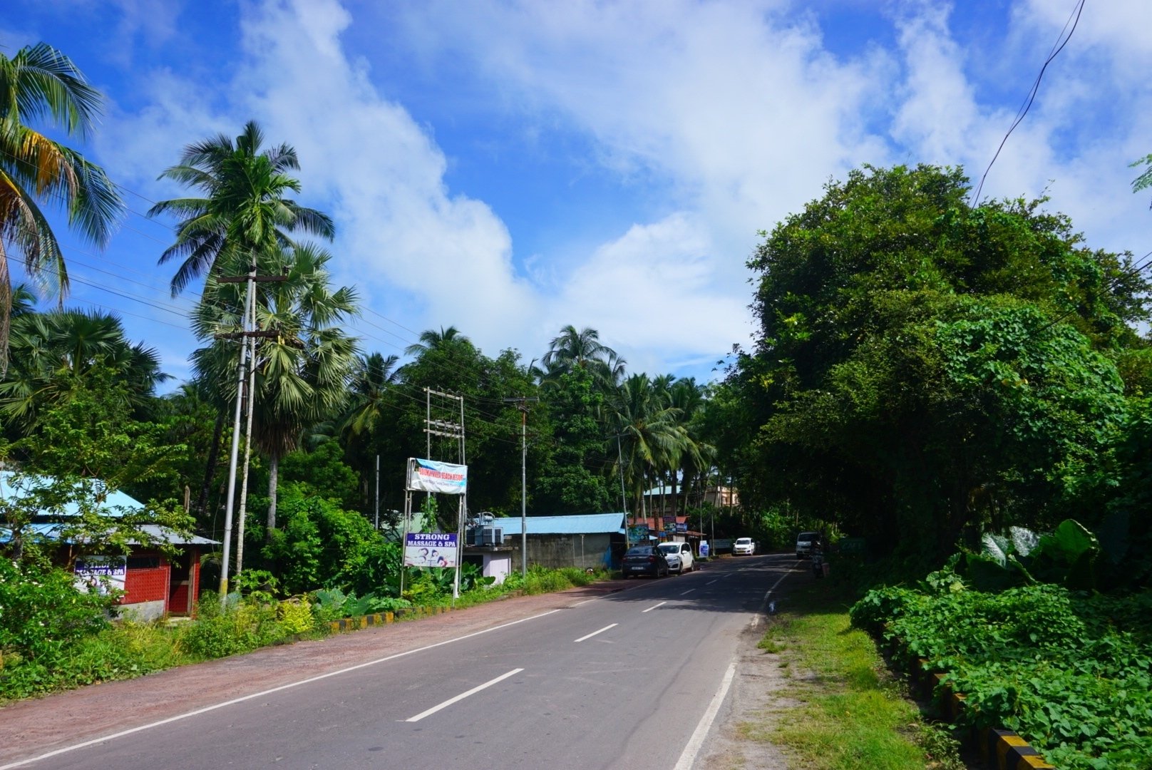 【1ペア】ローディファー（アンダマン島） アンダマン諸島観光 まとめ②｜Kiyofumi