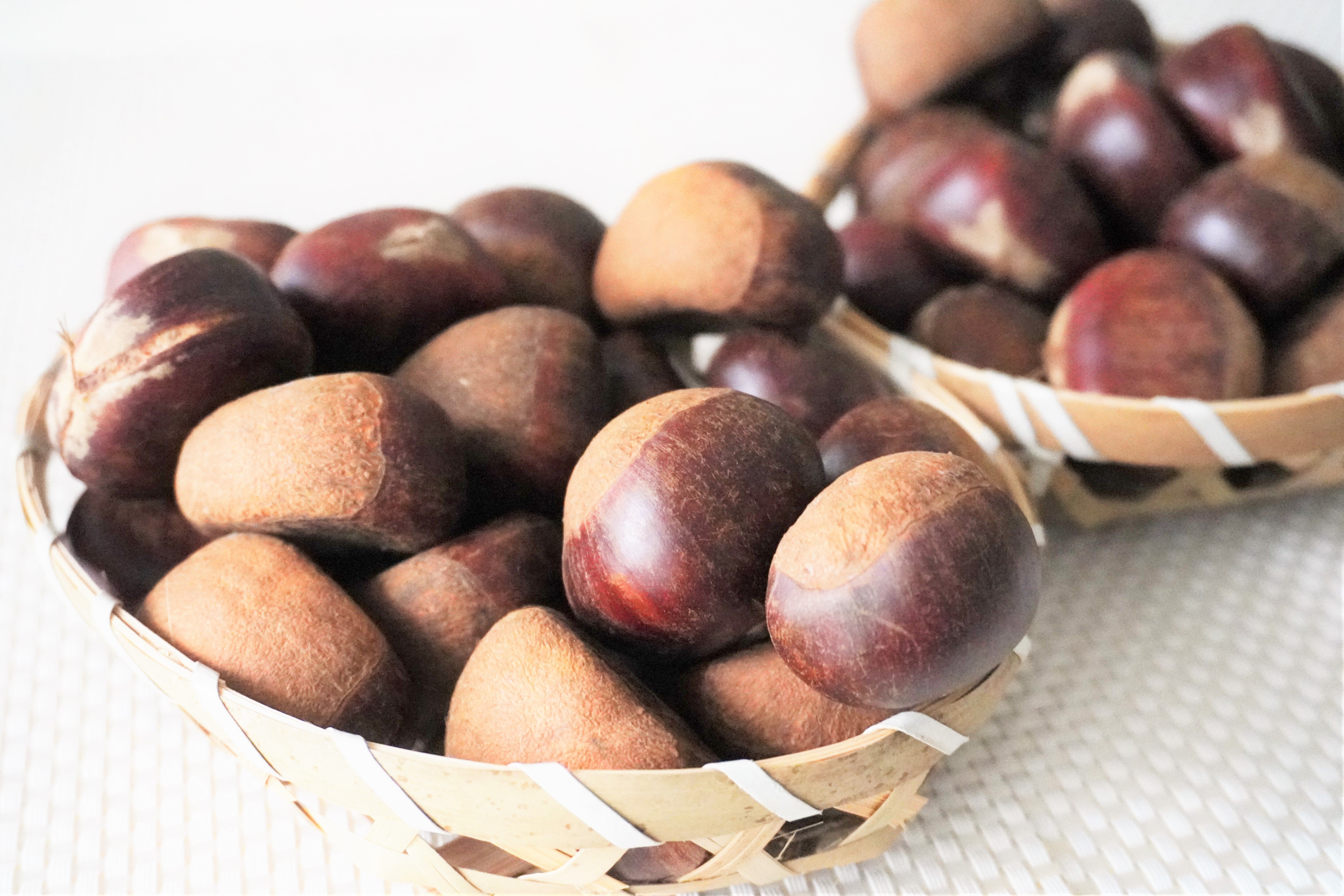 今秋の渋皮煮は、利平栗（茨城県産）で仕込んでいます｜食の工房