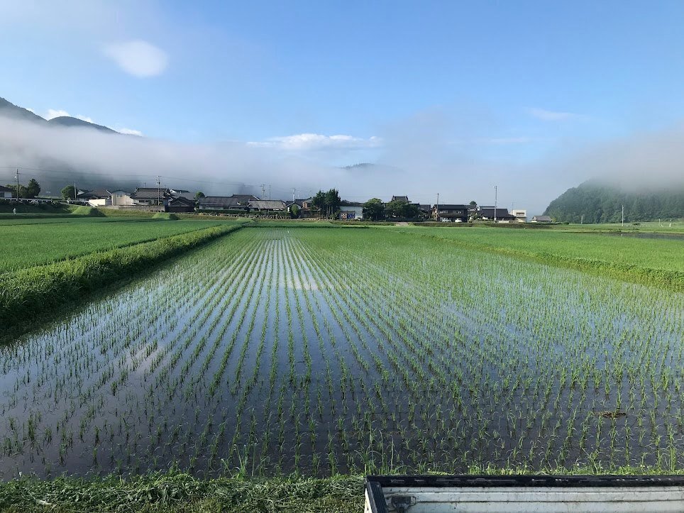田んぼから新しい価値を生み出そう」。愛媛県・田力本願の新たな挑戦