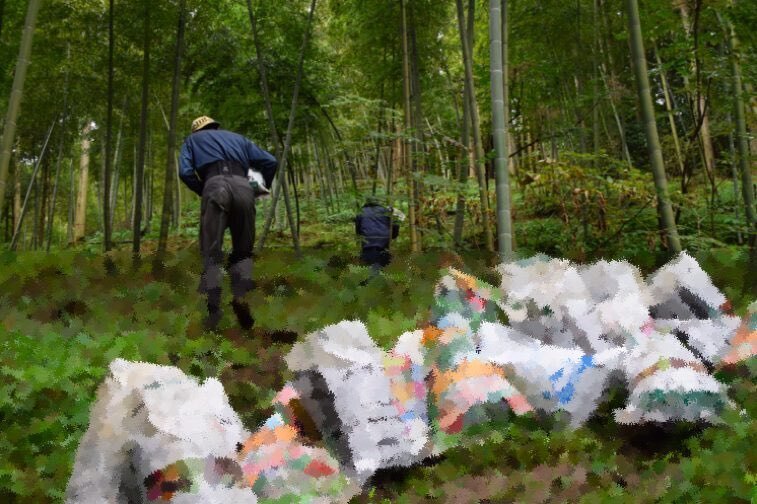 裏タケノコ王】第5話「タケノコ王」はキャラなのか 田舎の農家が全国