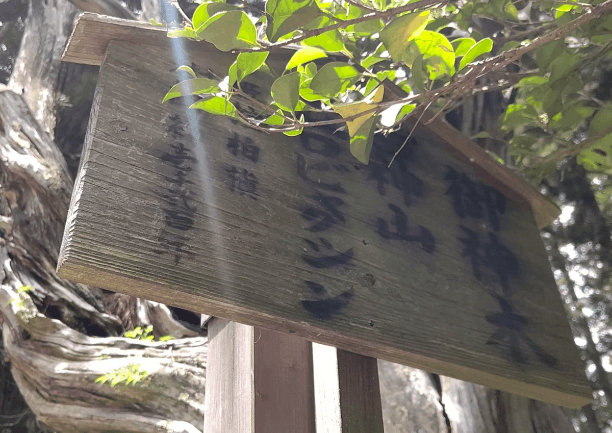 ご神木の看板