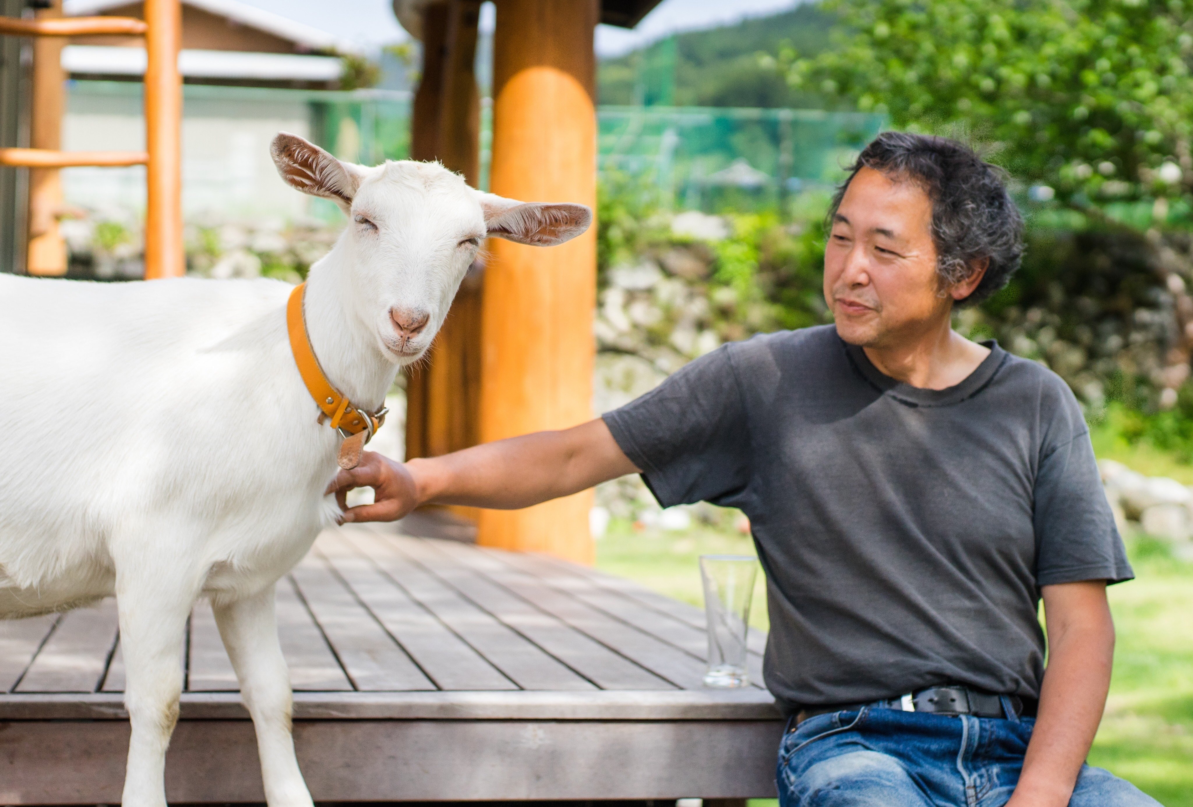 徳島県神山町でヤギと暮らす｜広瀬浩二
