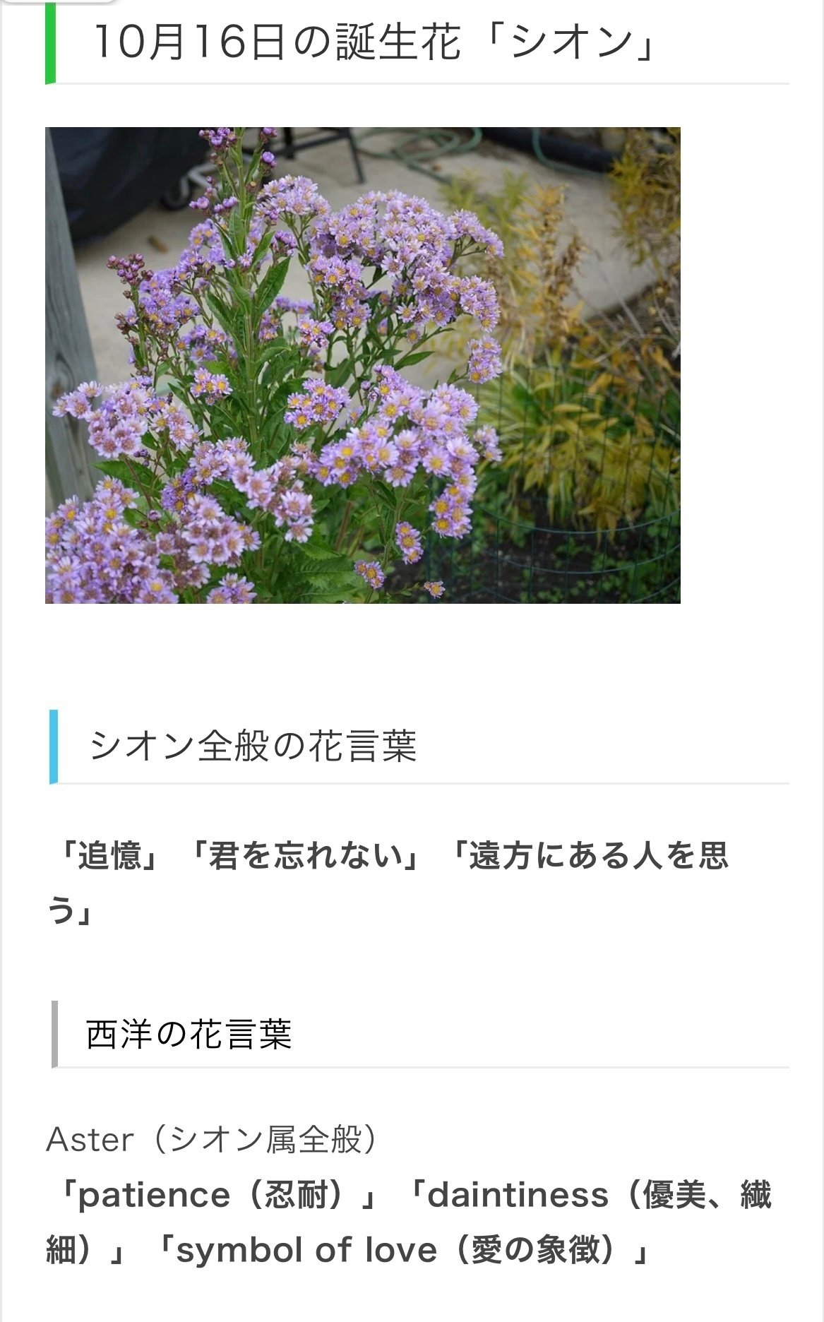 10月16日生まれのあなたへ Chiyo Note 10月16日生まれのあなたへ Chiyo Note