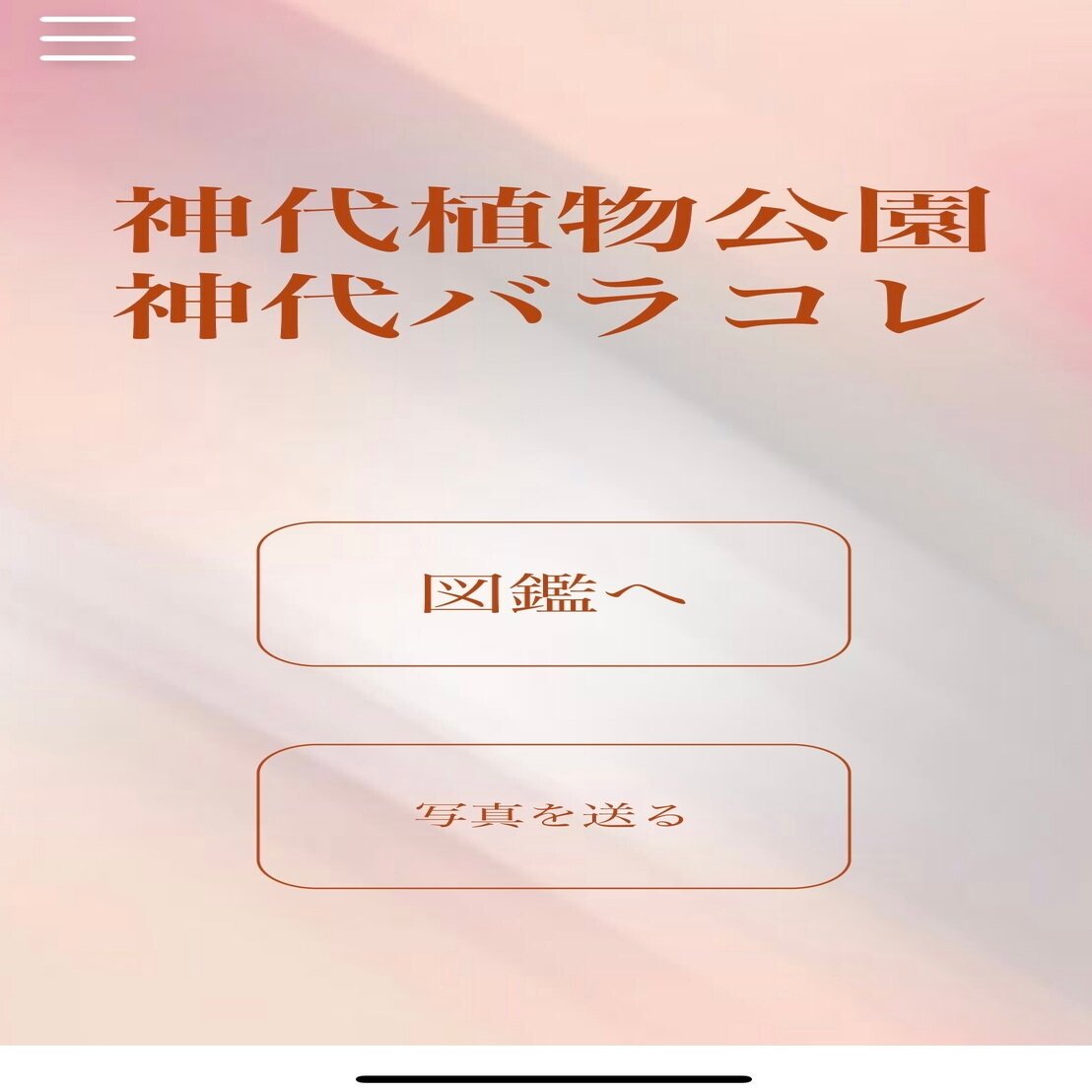 22年10月 神代植物公園の秋のバラフェスタで 神代バラコレ を使ってみました Stair Lab Note