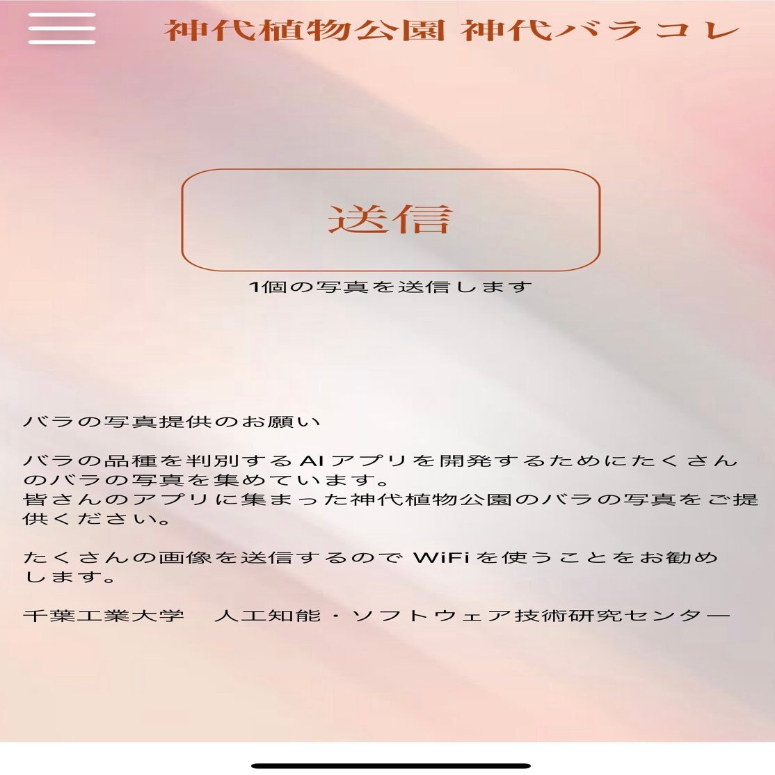 22年10月 神代植物公園の秋のバラフェスタで 神代バラコレ を使ってみました Stair Lab Note