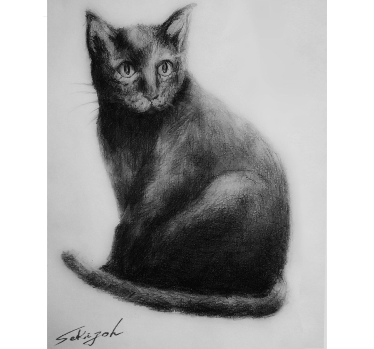 猫 鉛筆画 鉛筆画 猫の制作動画 - YouTube