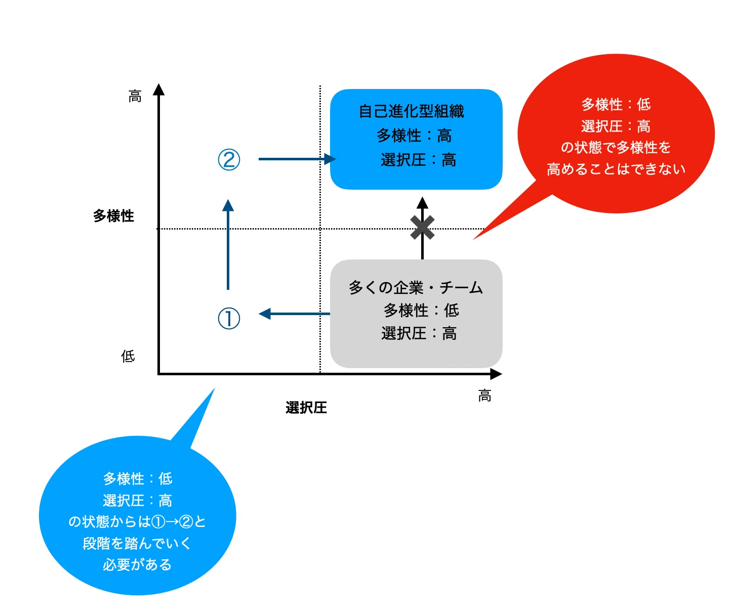 32】新時代の組織論「自己進化型組織」とは（2）｜動作学