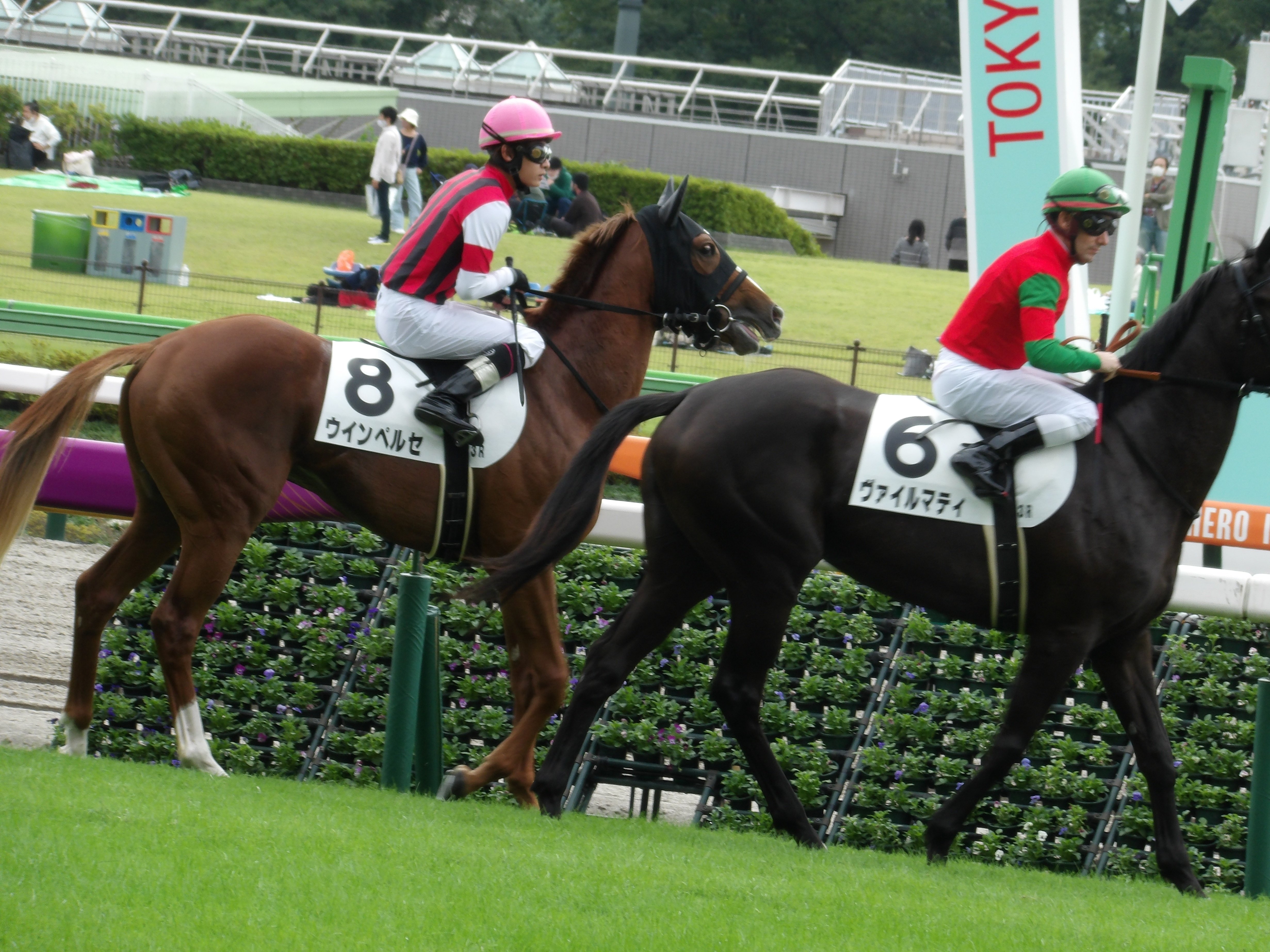 毎日王冠現地レポート、ダノンザキッドが破壊神になった日 毎日王冠現地レポート、ダノンザキッドが破壊神になった日