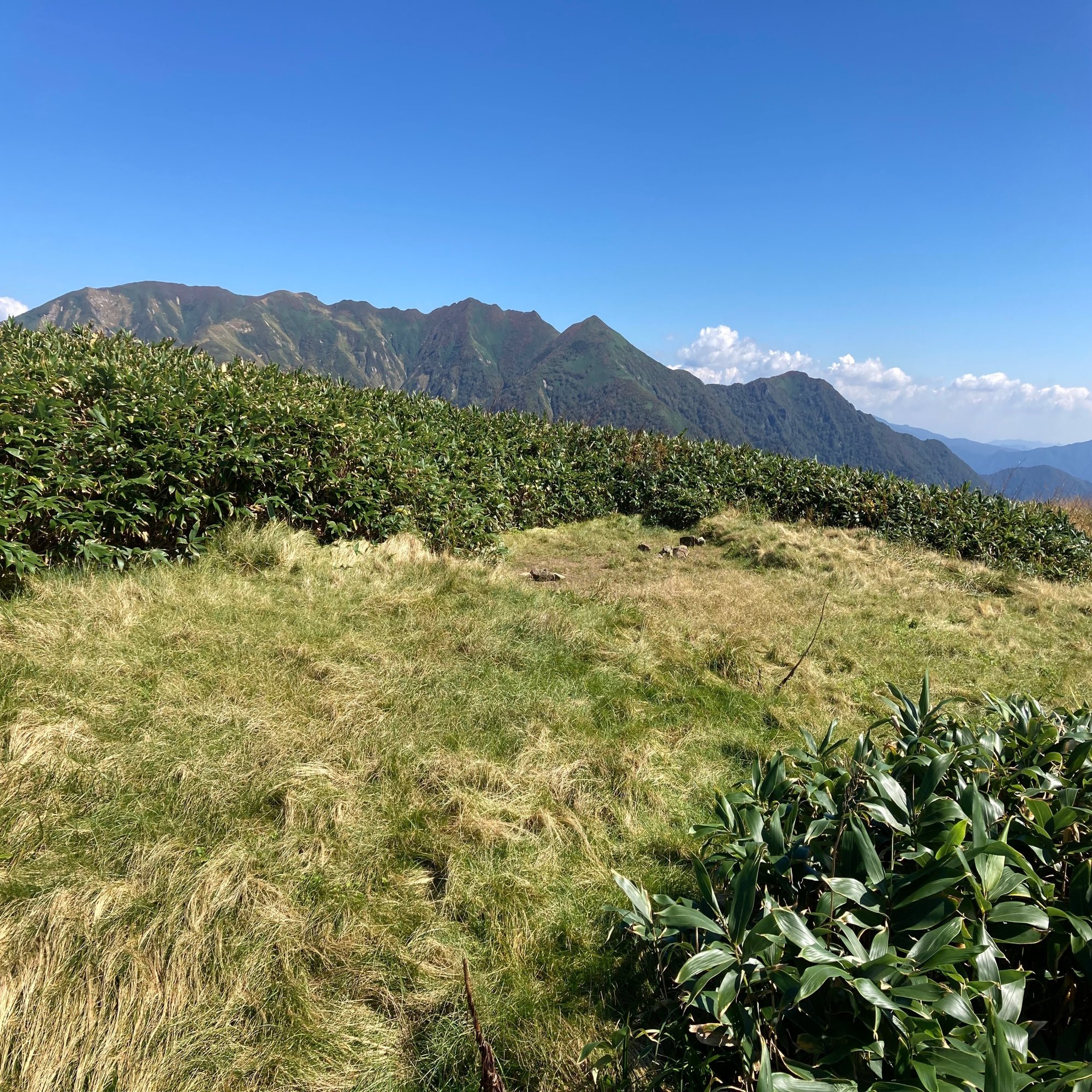 七ツ小屋山 蓬峠 谷川連峰馬蹄形縦走2日目 一城ひとま Note