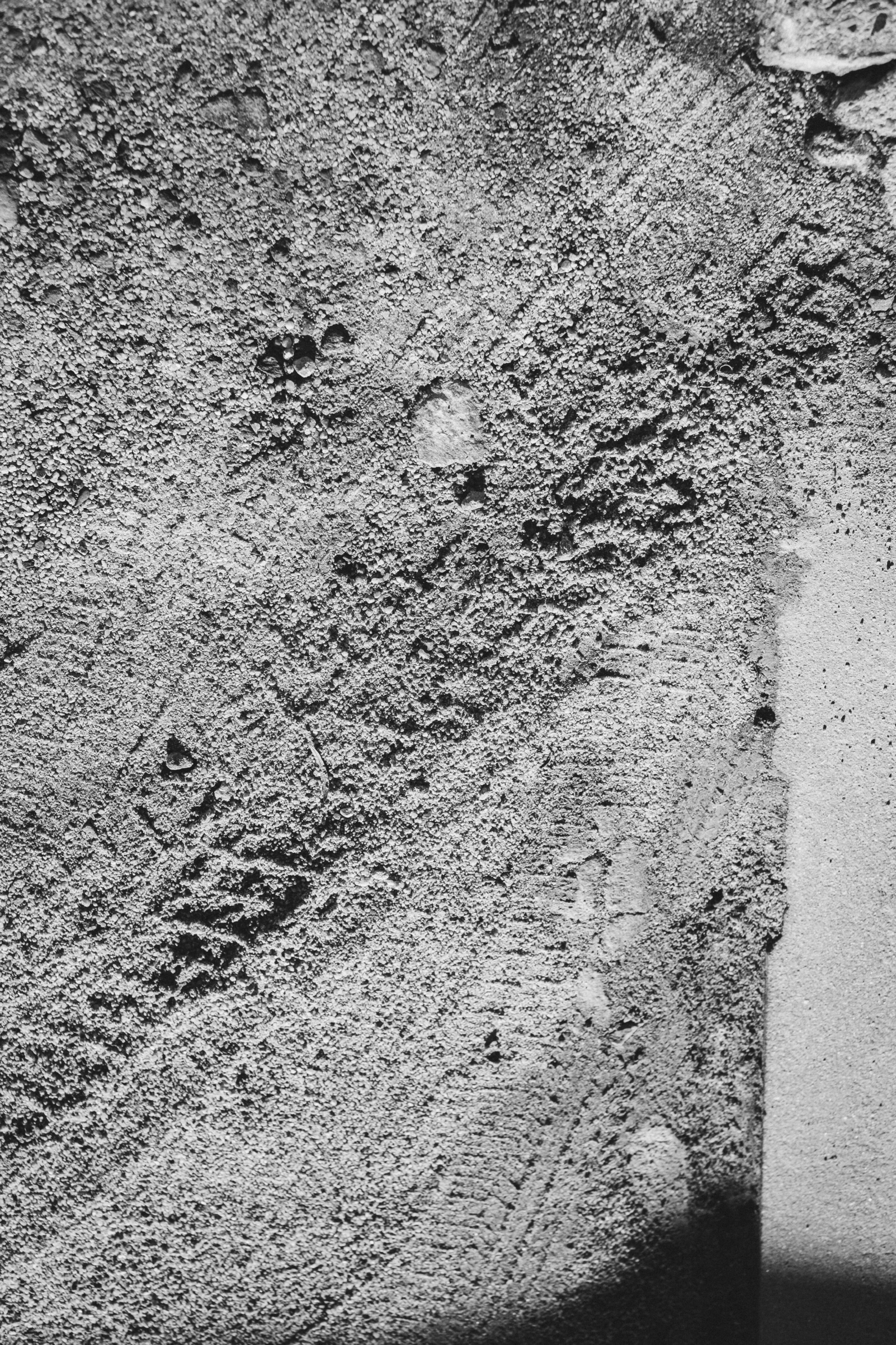 モノクロ 模写 X-Pro2とモノクロ写真/#291｜SUBARU