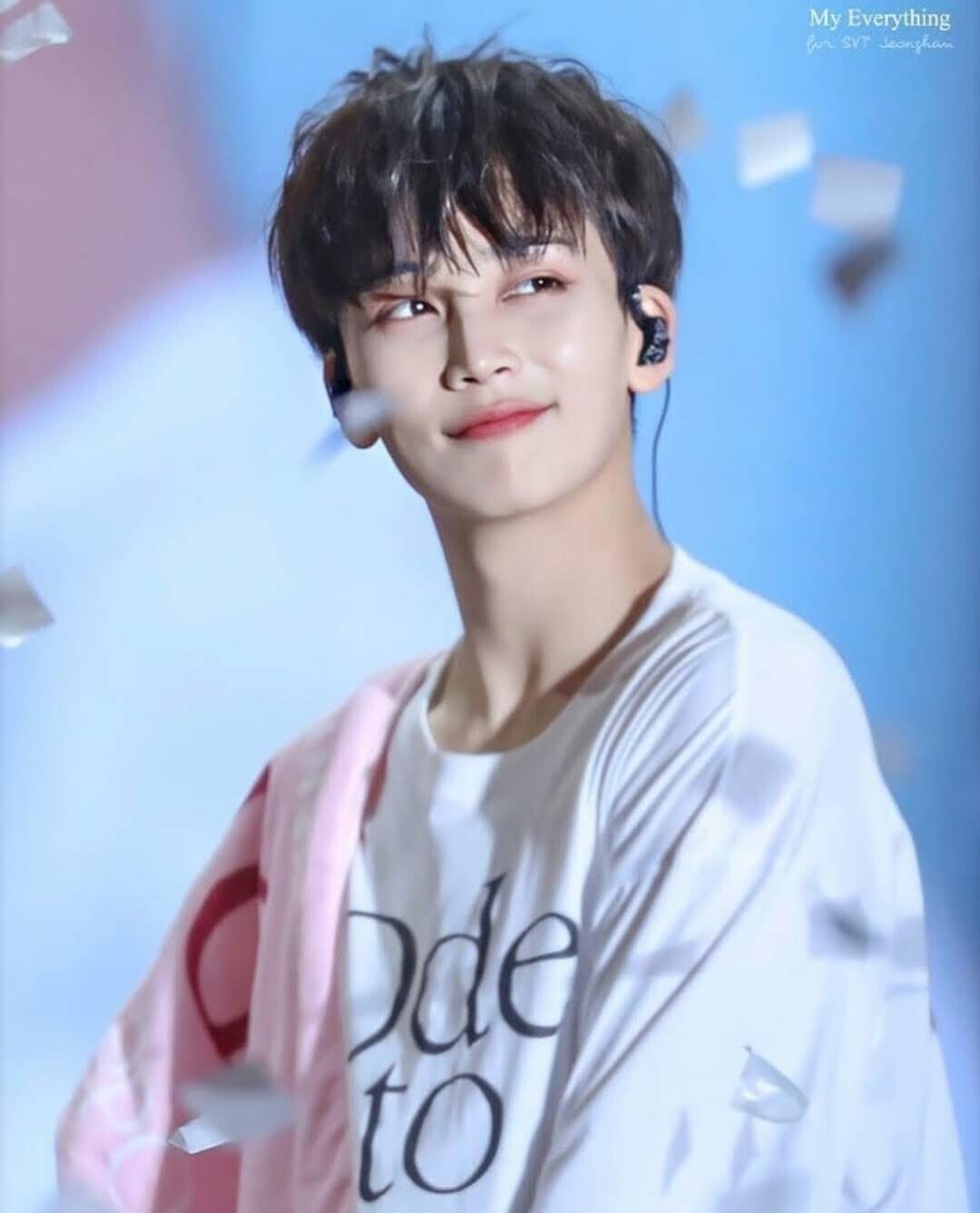 SEVENTEENについて、語り尽くしたい！｜かすてら