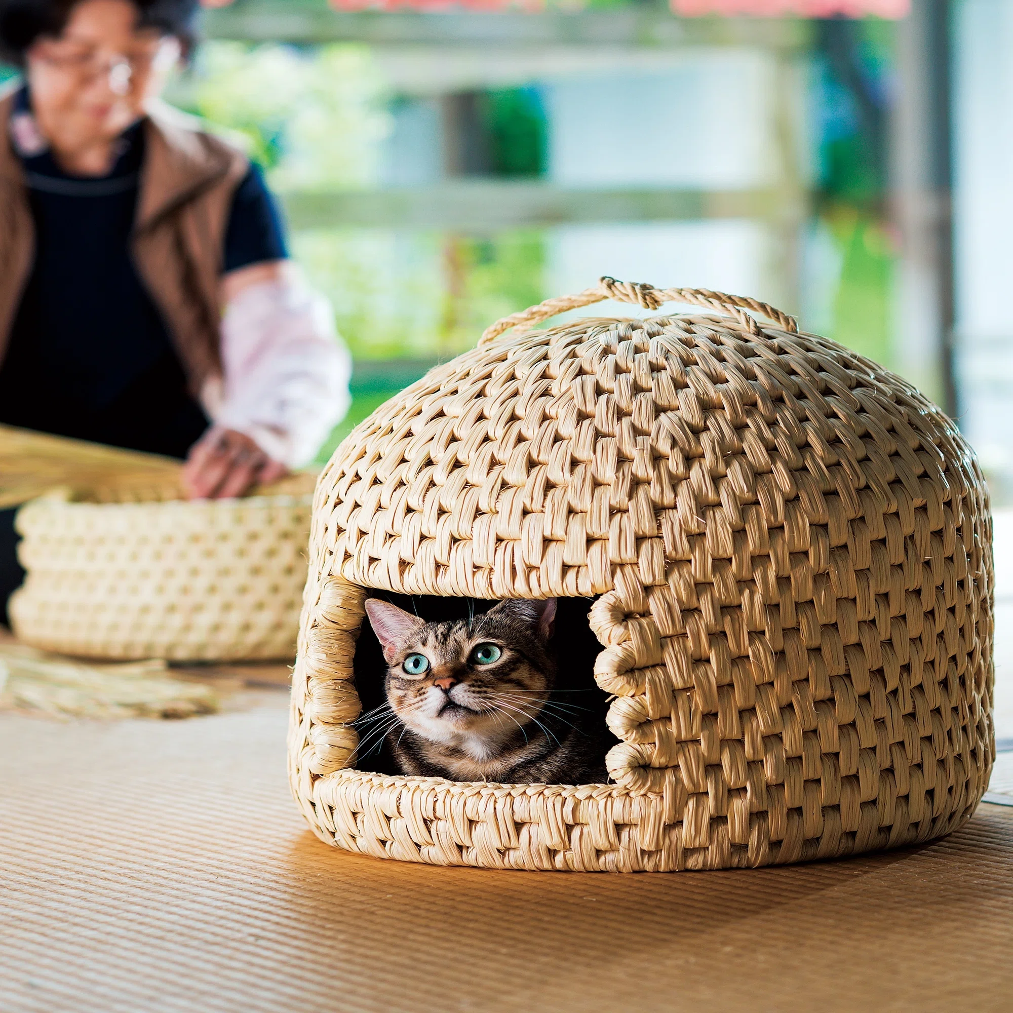 猫ちぐら】雪深い村で編まれる暖かな猫の家（新潟県岩船郡関川村 