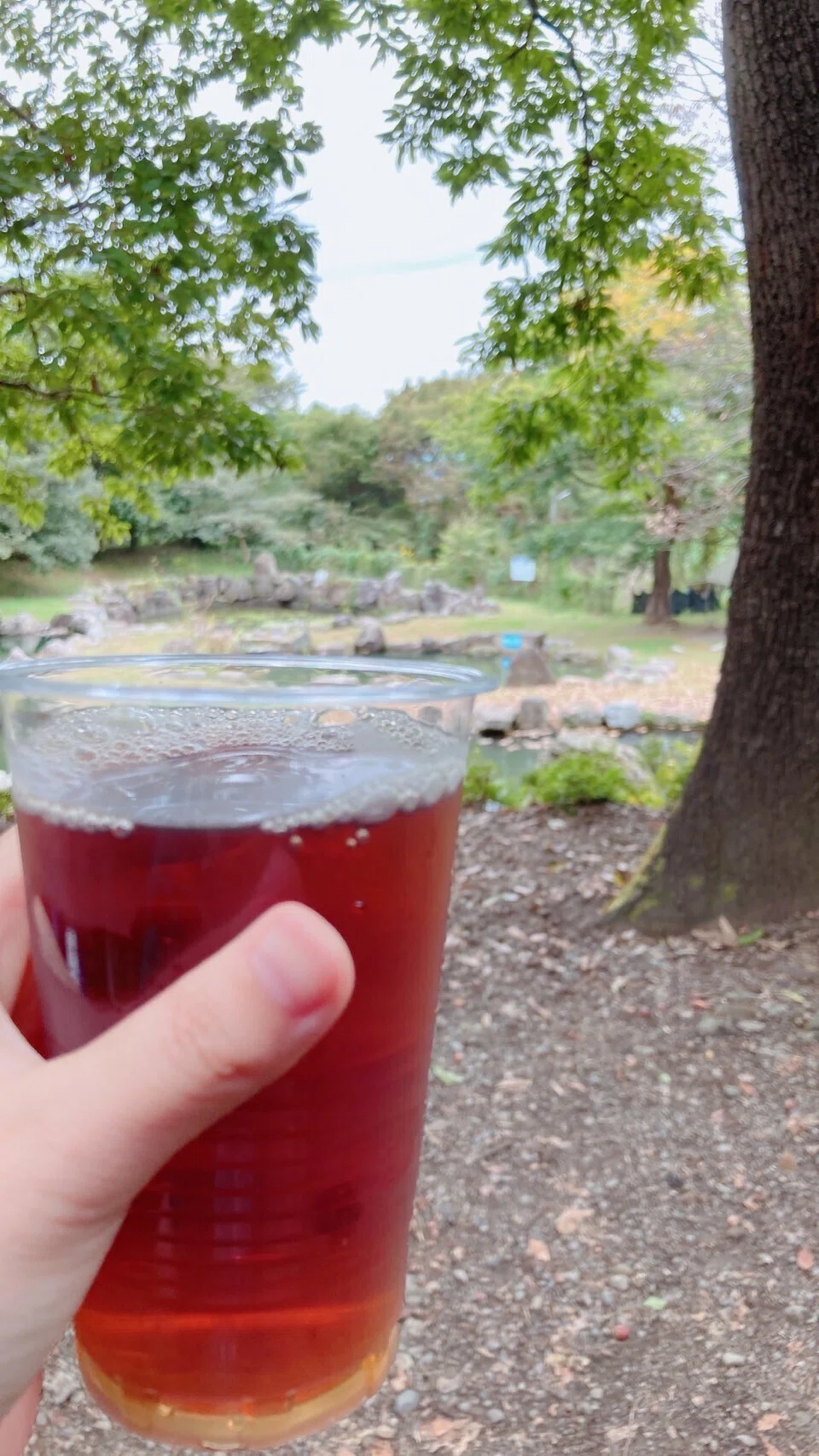乾杯！いただきます！