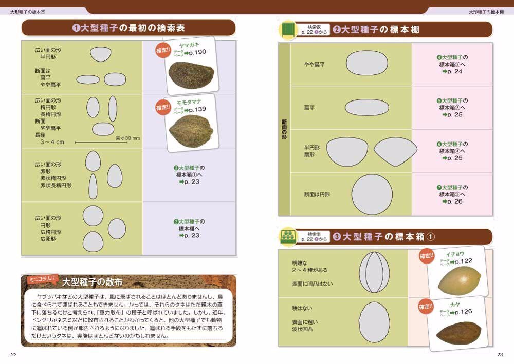 ブンイチの図鑑 part6 秋の楽しみ｜ブンイチ（文一総合出版）
