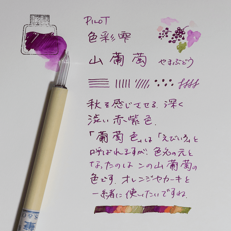 藤田さんちのインク沼 -PILOT色彩雫 山葡萄-｜藤田さんちの色彩事情