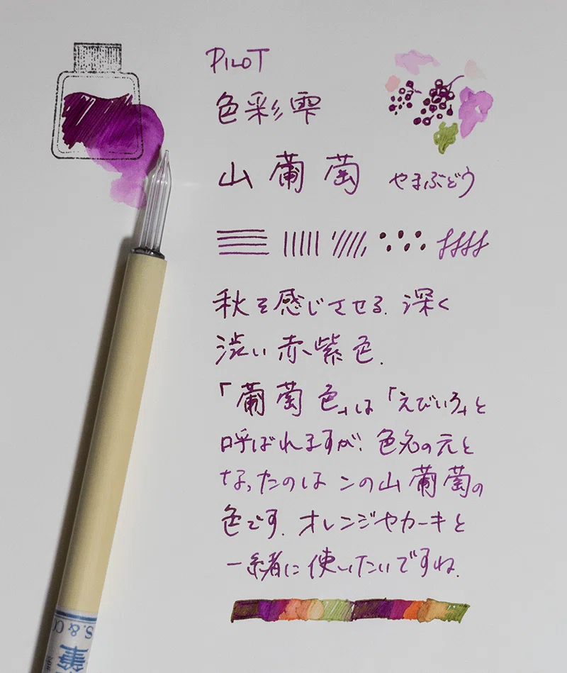 藤田さんちのインク沼 -PILOT色彩雫 山葡萄-｜藤田さんちの色彩事情