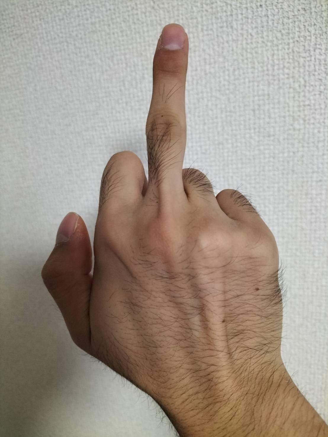 白魚のような手”ってどんなんだよ｜東トビオ