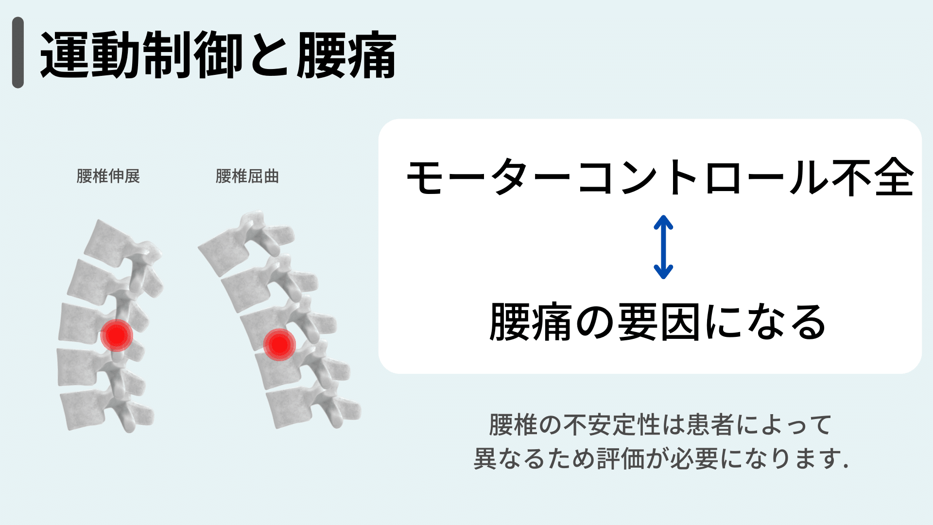 腰痛に対するモ-タ-コントロ-ルアプロ-チ 腰椎骨盤の安定性のための運動療法  /医学書院/キャロリン・リチャ-ドソン（単行本） 腰痛に対するモ-タ-コントロ-ルアプロ-チ 腰椎骨盤の安定性の