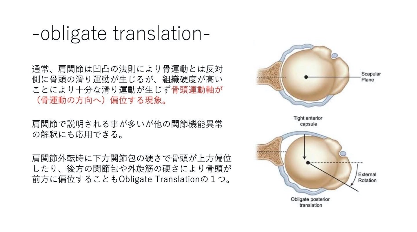 関節の構造と機能 明日の臨床に役立つ-骨頭上方偏位の要因｜桑原啓太