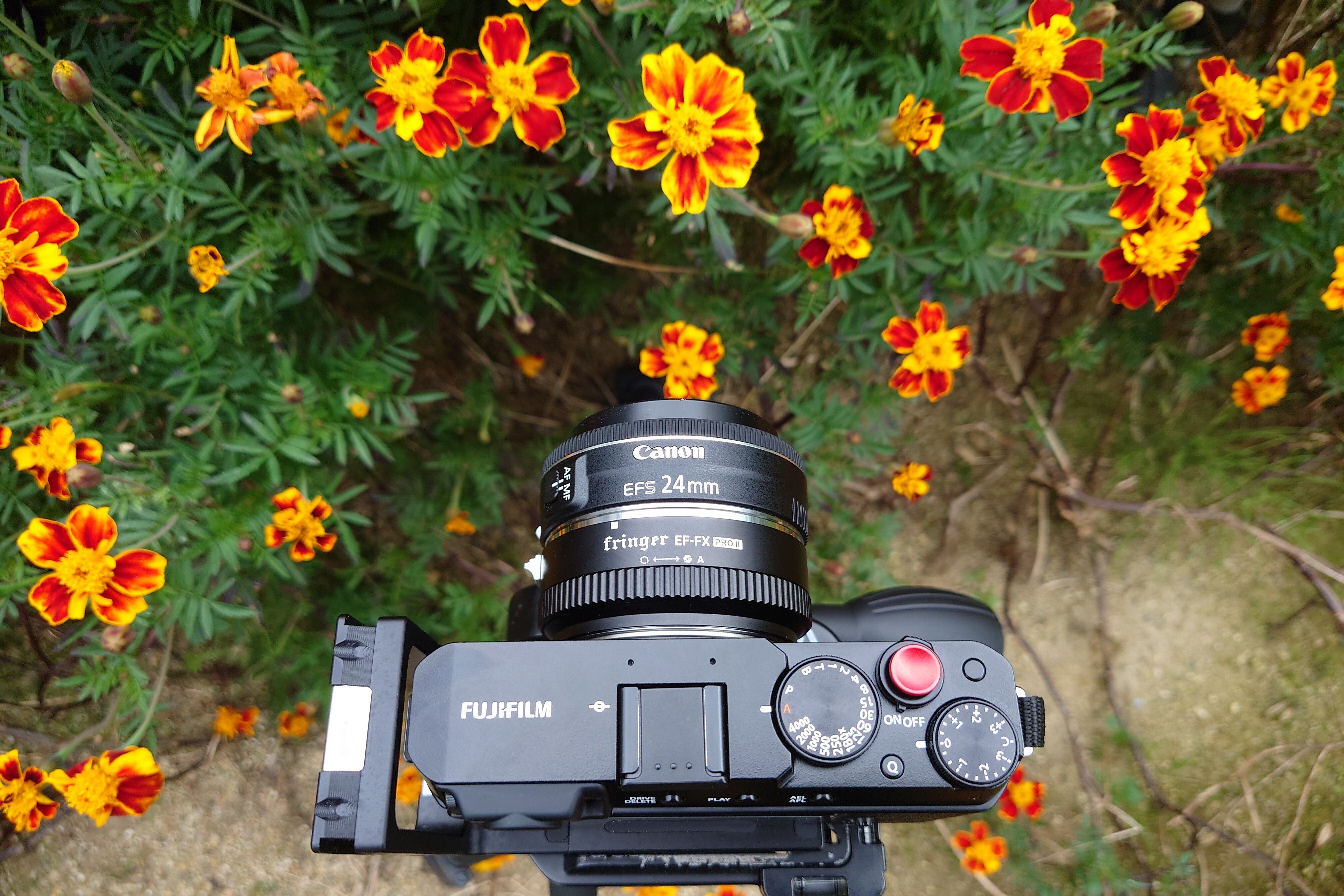 FUJIFILM X-E4 で使う CANON EF-S 24mm F2.8 STM|あお FUJIFILM X-E4 で使う CANON EF-S 24mm F2.8 STM|あお