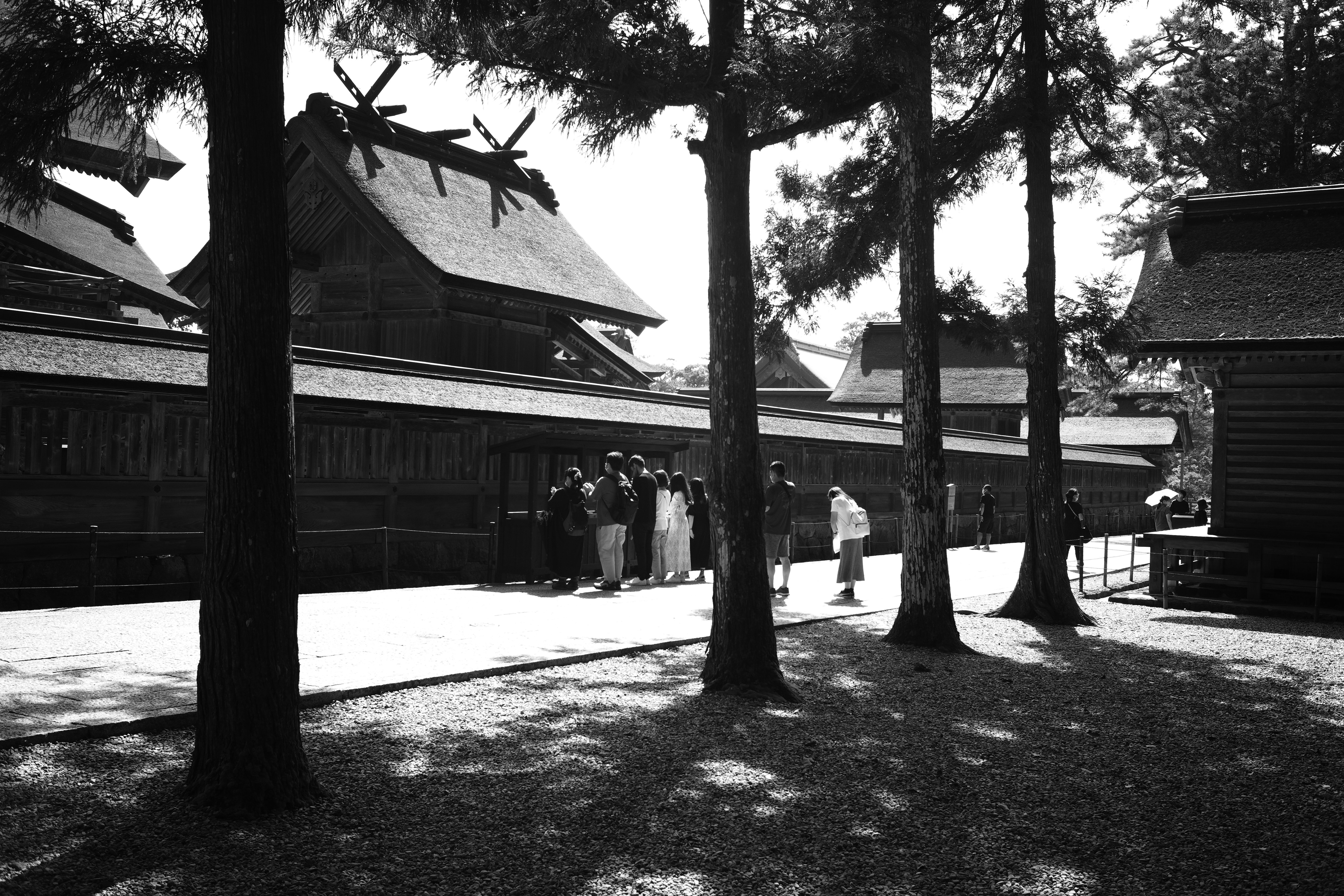 リー・フリードランダーの構図を意識しながら撮ってみた。｜鉄人