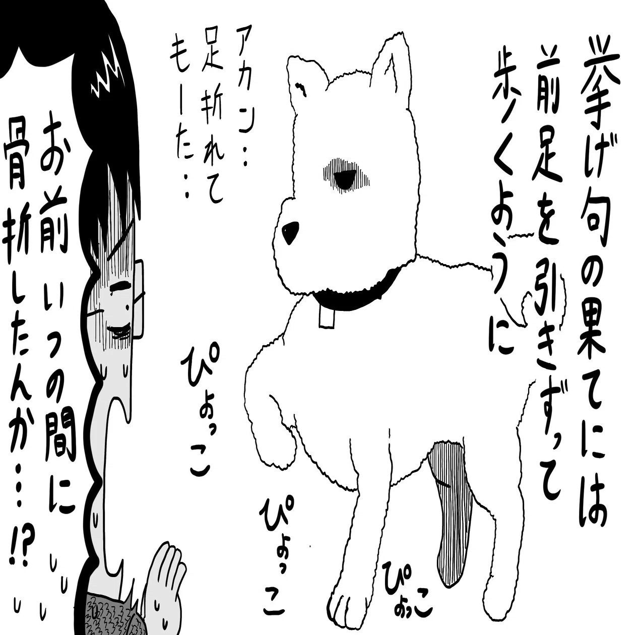 色々な動物マンガ しめさば Note