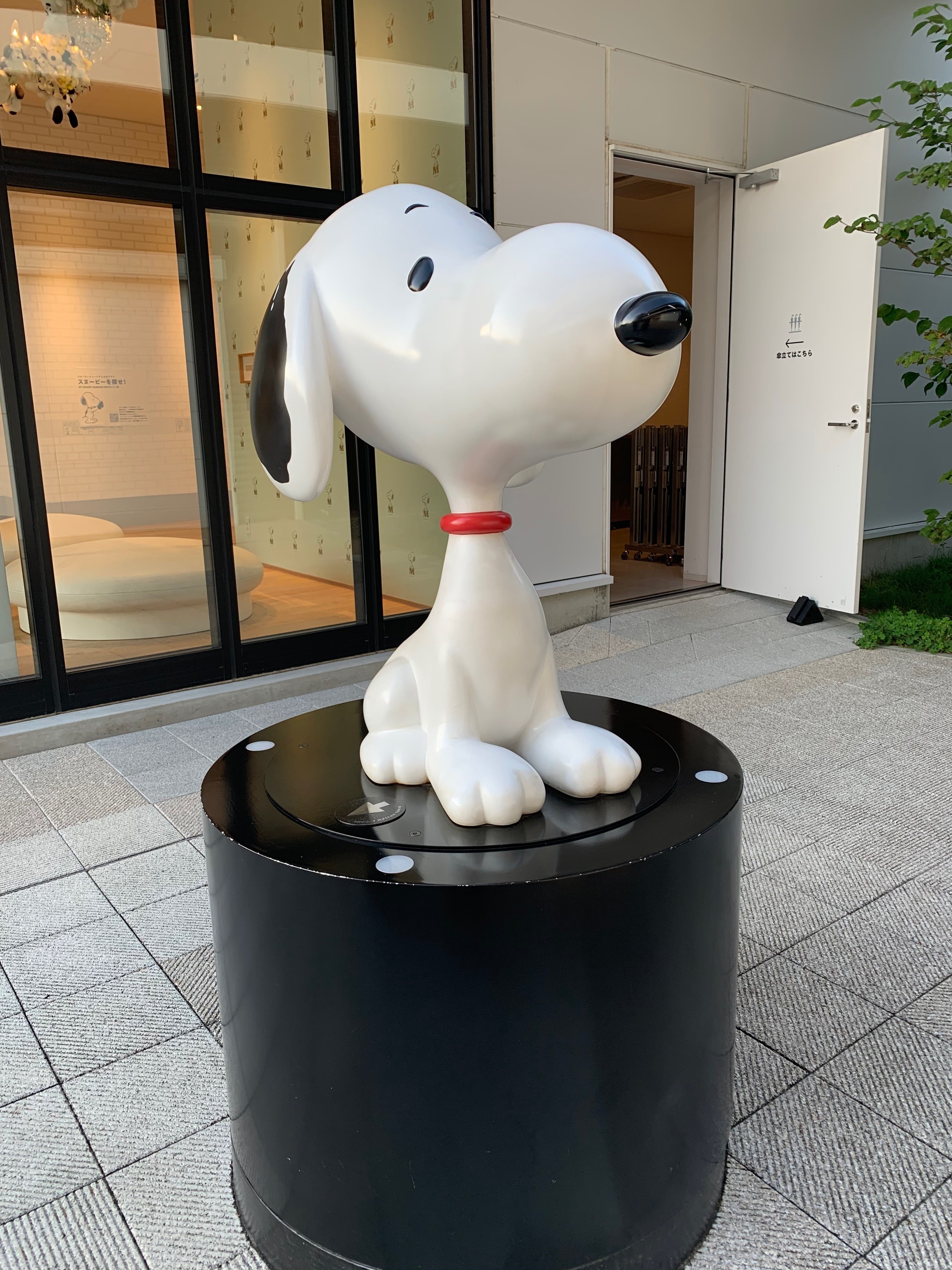 スヌーピーをみて癒されませんか？｜あんこ