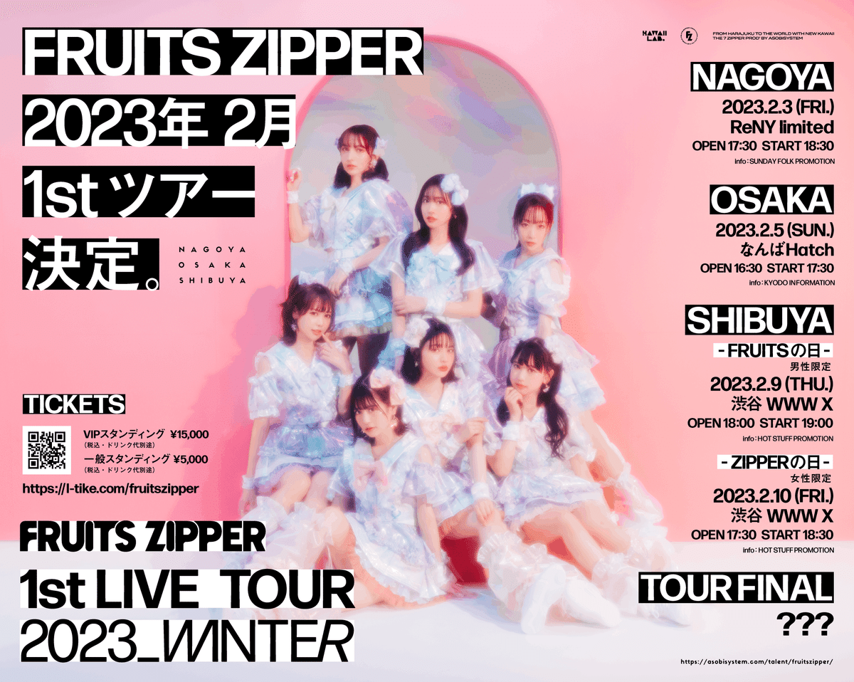 BD/DVD】1st LIVE FILM at 日本武道館 FRUITS ZIPPER 2nd