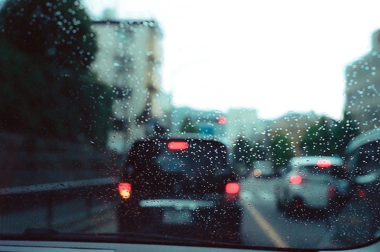 Kodak GOLD100 12枚撮り15本+カメラ KODAK GOLD100｜みわ