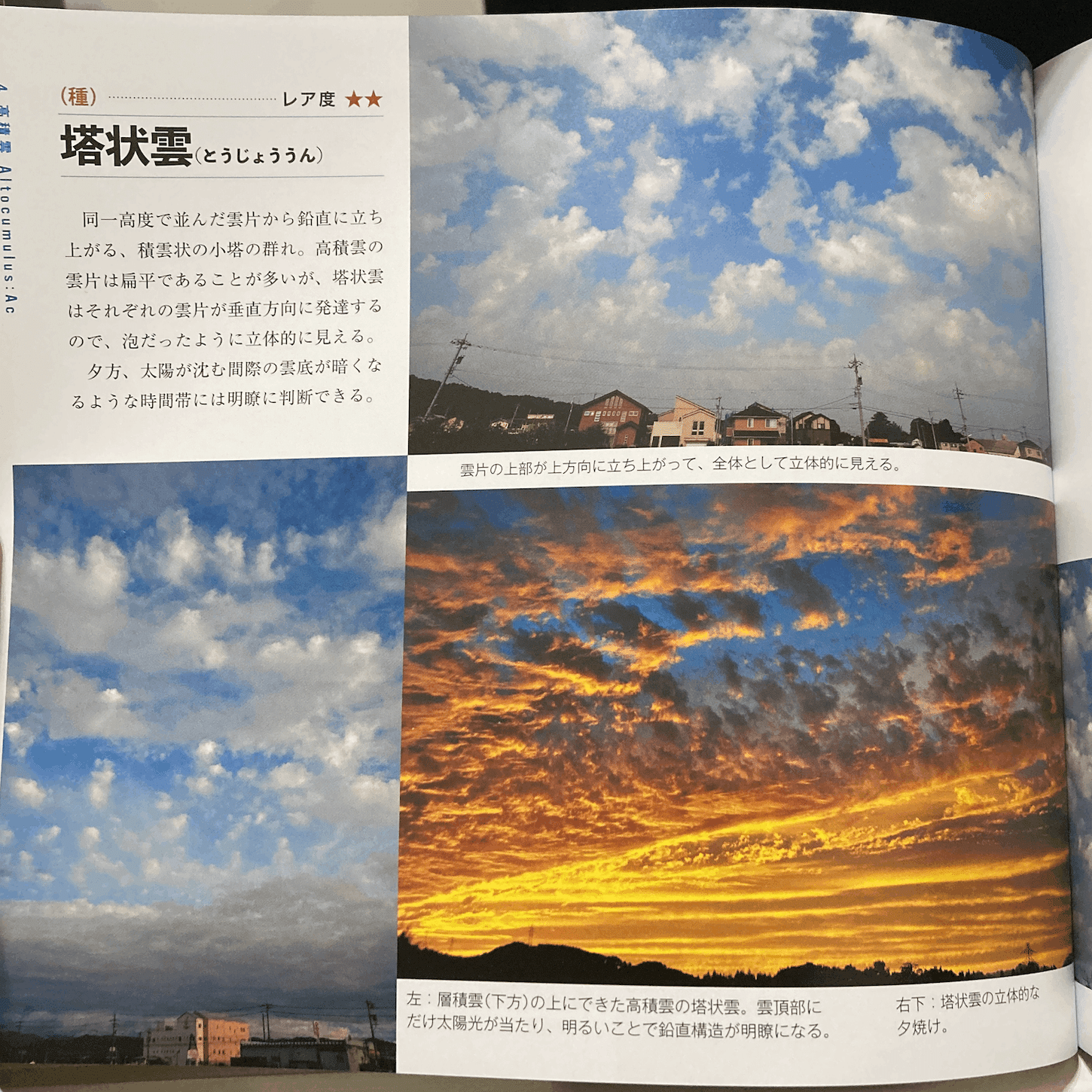 雲の観察日記①：夕闇の扁平雲｜たたたたた