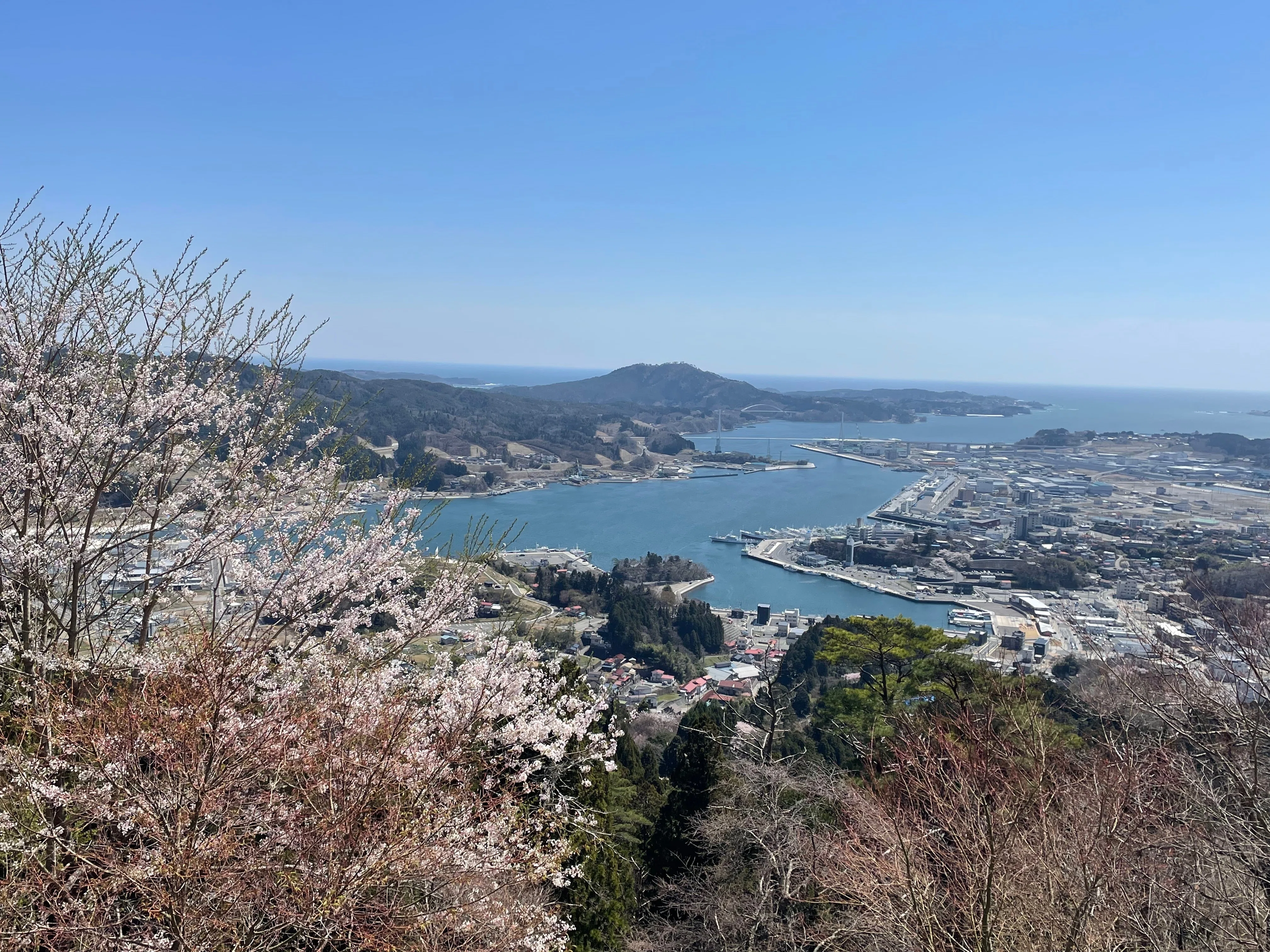 みちのく潮風トレイル冒険録14：桜舞う気仙沼(本吉駅→鹿折唐桑駅