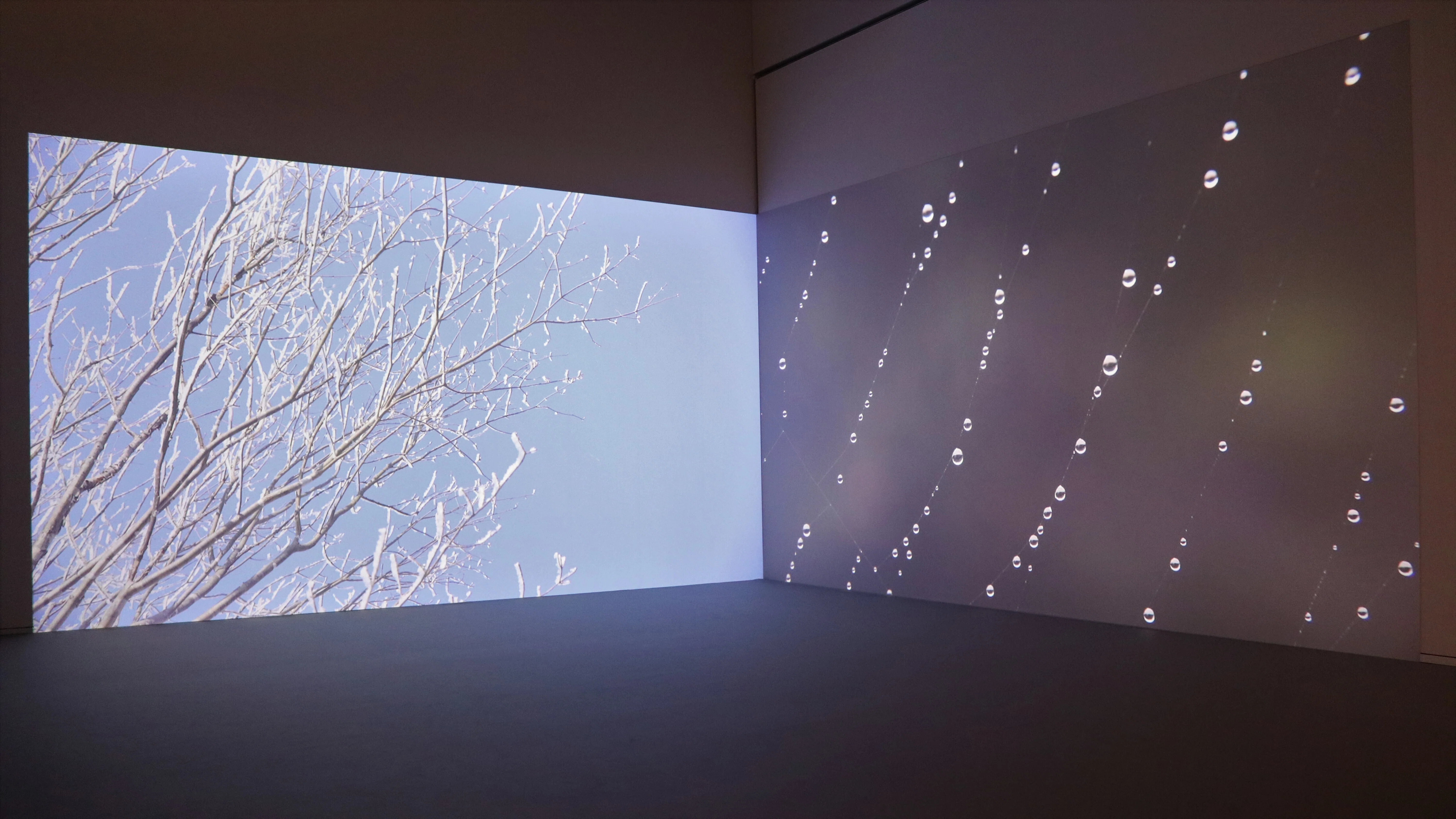 川内倫子 写真展〈M/E〉＠東京オペラシティアートギャラリー -日常の中