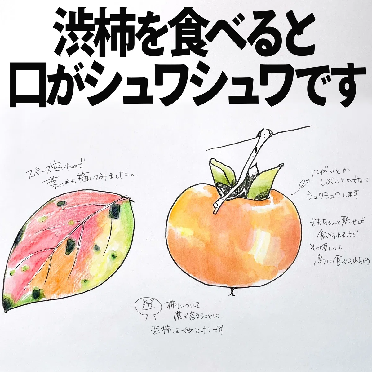 柿 渋い 口 の 中