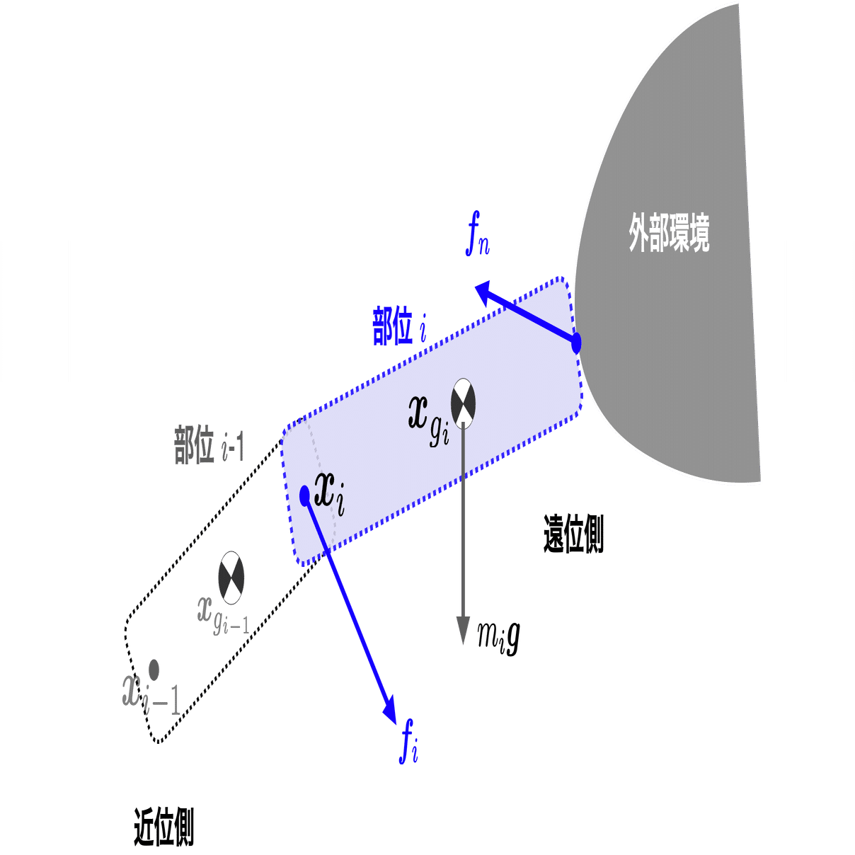 FRAT～呼吸と関節運動による機能化技法 ～ DVD｜FRAT－呼吸と関節運動による機能化技法 ～頭蓋・胸郭・骨盤