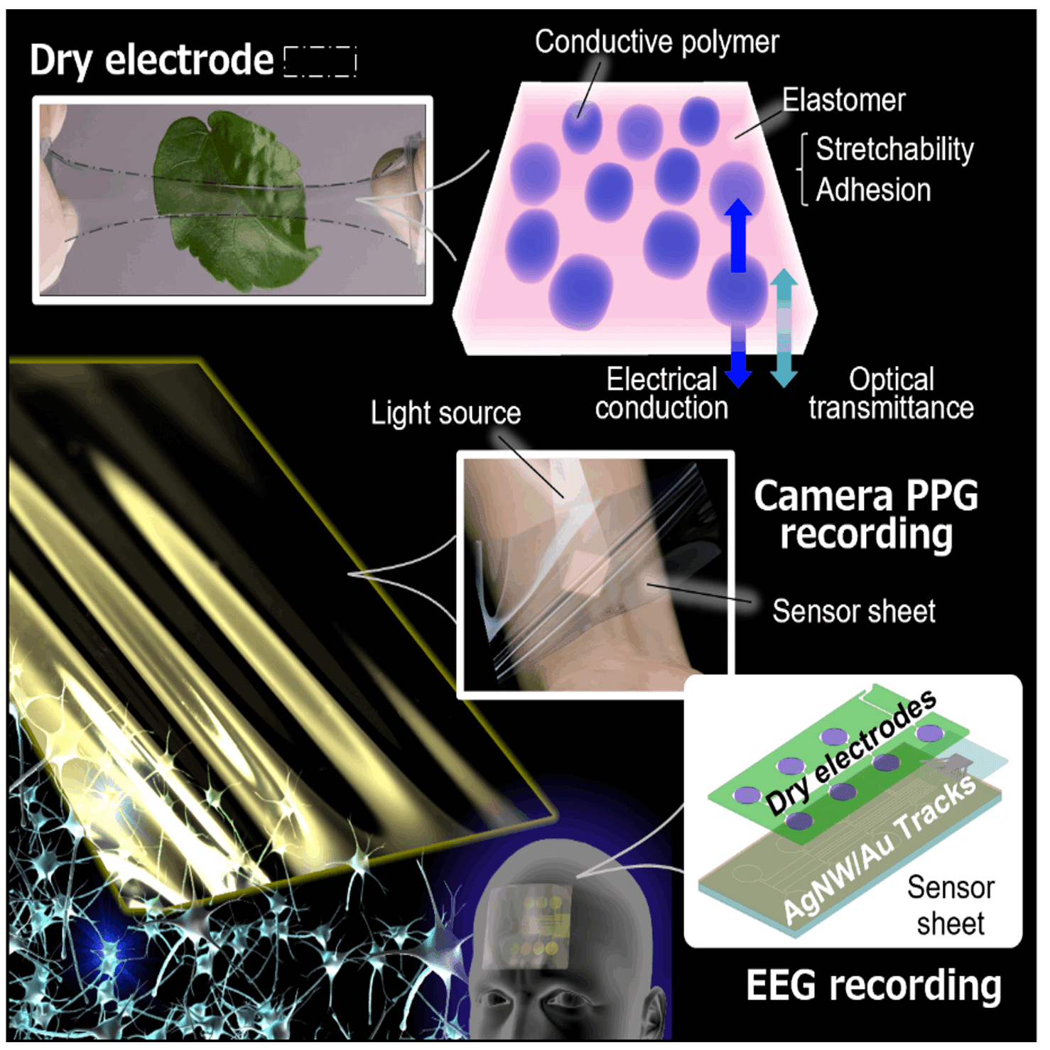 応力発光による構造体診断技術 = Mechanoluminescence an… 応力発光による構造体診断技術 = Mechanoluminescence an… 応力発光
