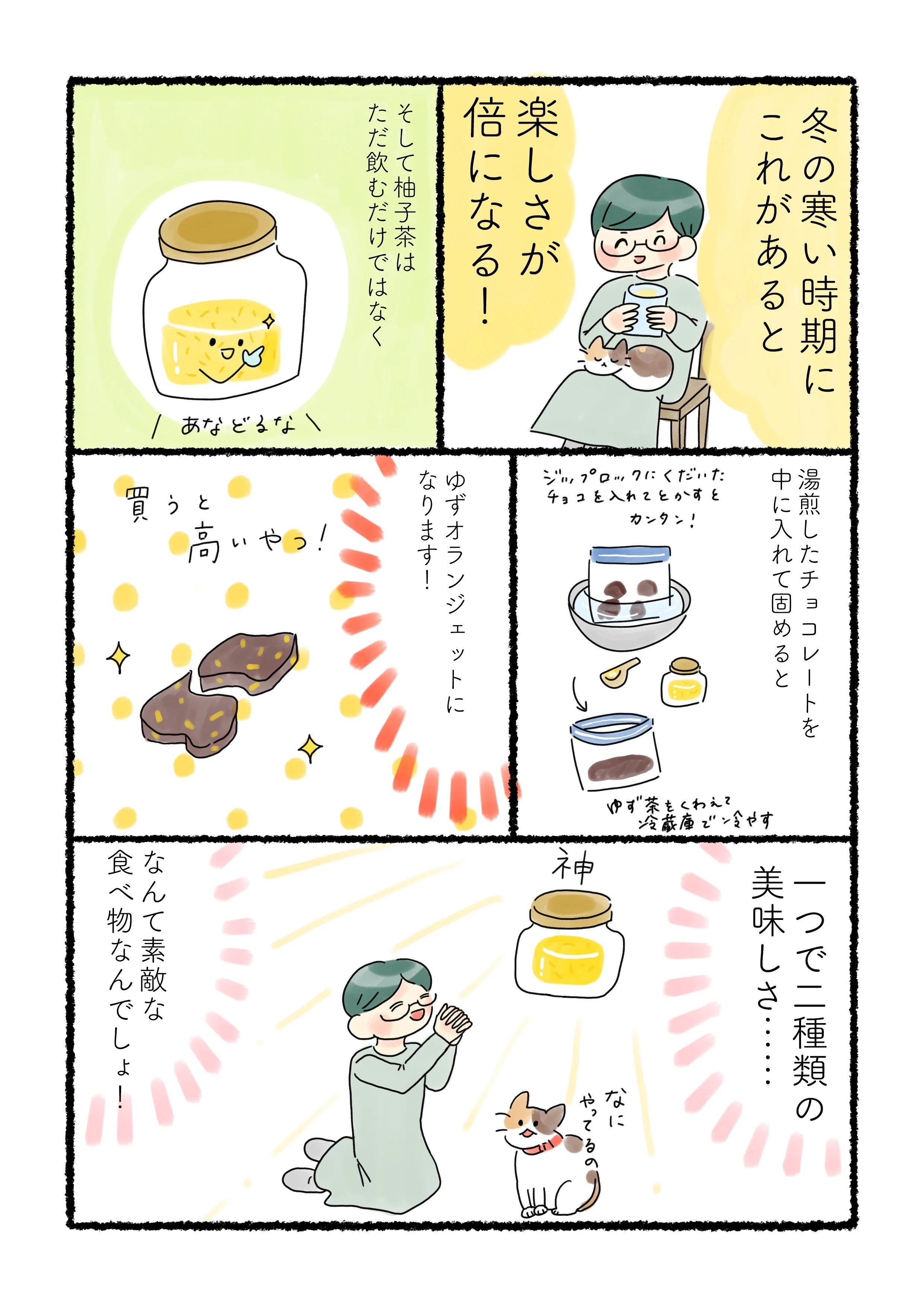 田舎の恵みで手作りおやつ】ゆず茶とゆずオランジェット｜菜っぱ