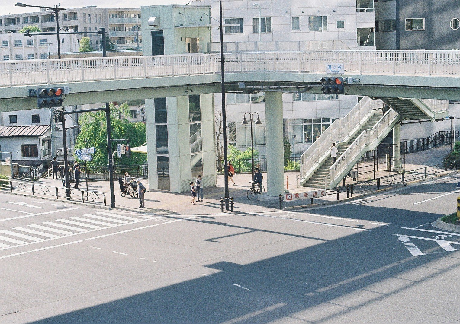 期間切れ」Kodak Portra 800 Kodak Ektar 100