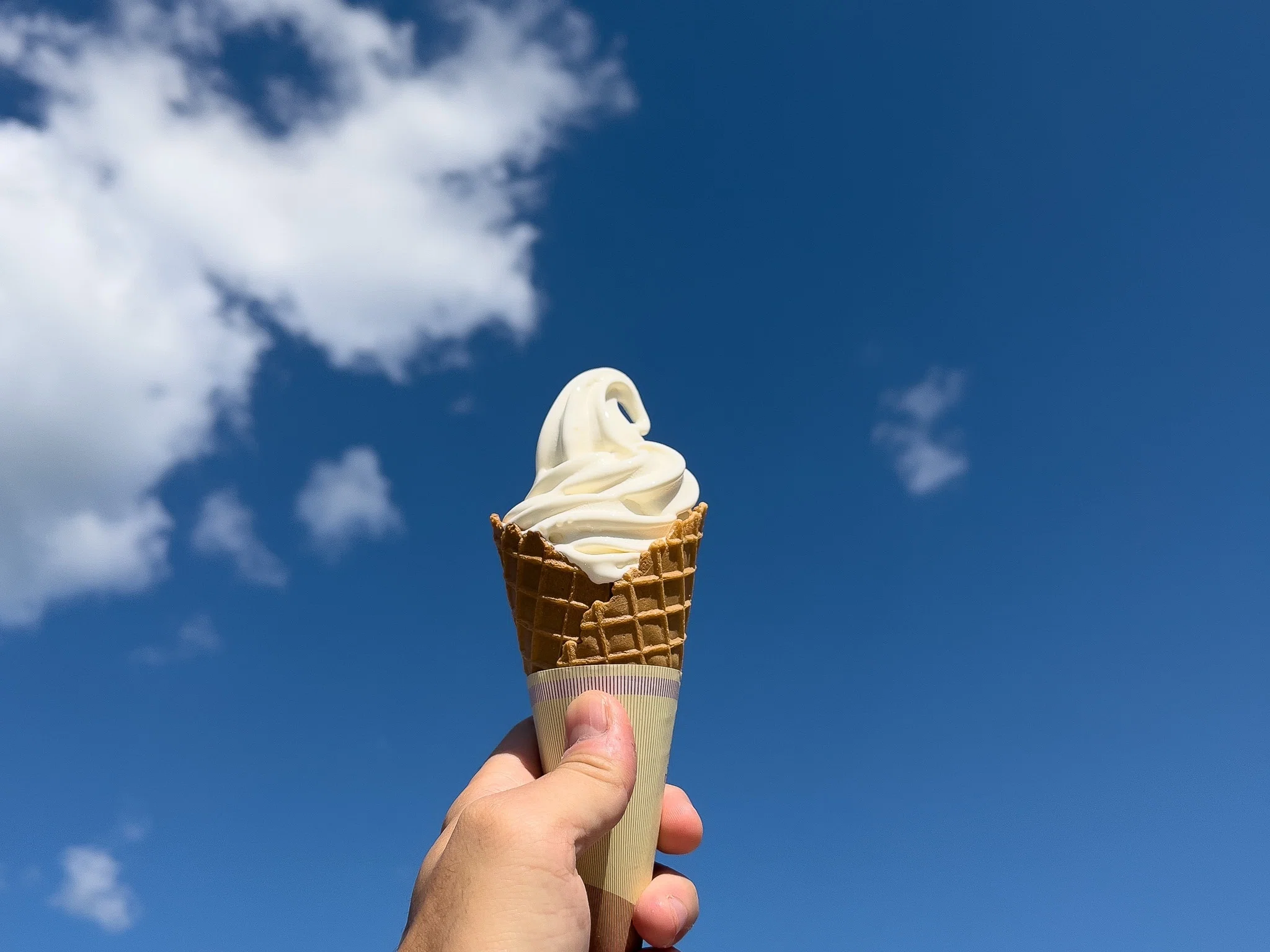 サヨナラするのは辛いけど、それでもソフトクリームは甘い。｜mitani