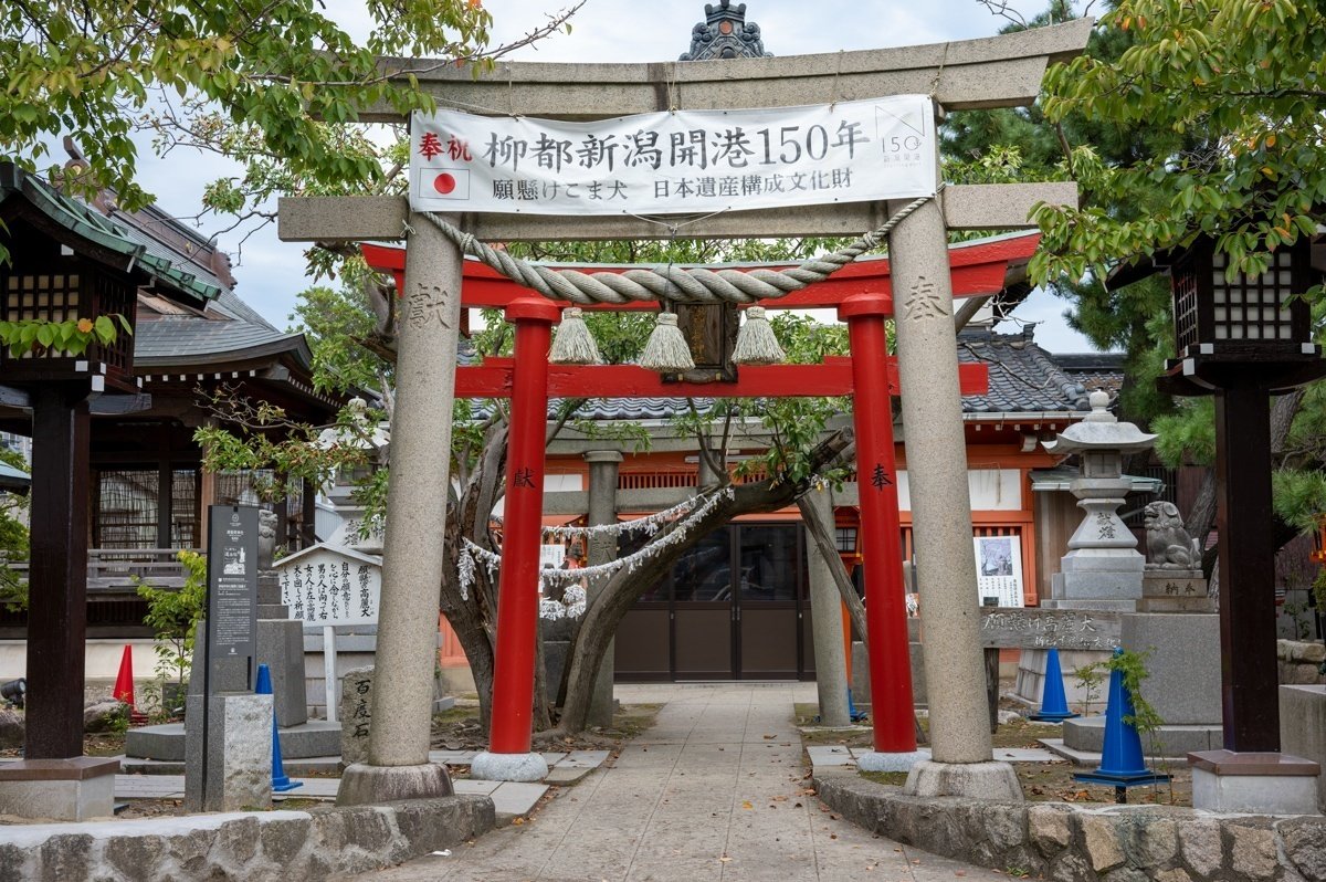 振り回され続ける遊女/取材記(2022/10/4)新潟県新潟市|渡辺豪 振り回され続ける遊女/取材記(2022/10/4)新潟県新潟市|渡辺豪