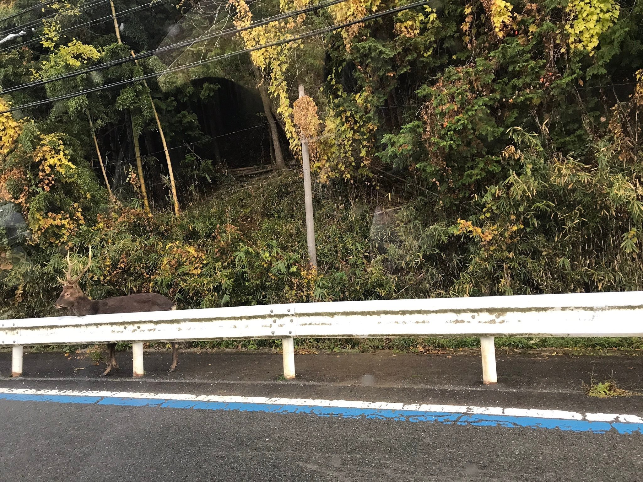 福山市　様 福知山市」もパワーシフト！ – power-shift.org