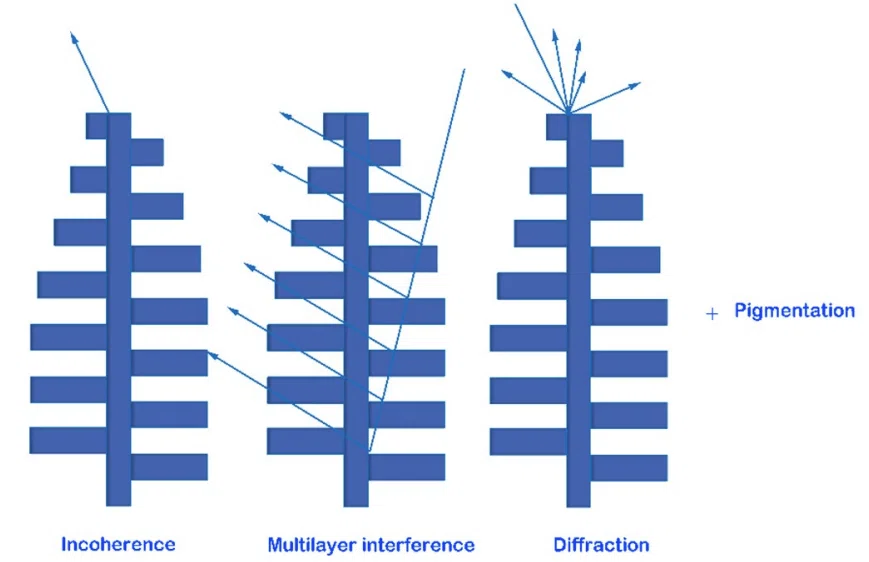 Achieving Efficient Thermal Radiation with Micro-Pine Tree Structures ...