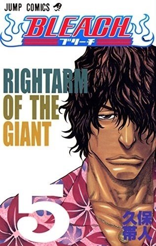BLEACH』の巻頭ポエムベスト10を作ろうと思ったら意外とベスト6