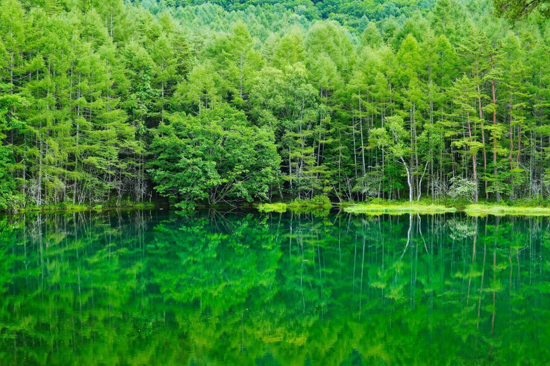 美しき日本の自然the beautiful japan Spring in Japan Mt.Yatsugatake 4K 1HR Nature Relaxation