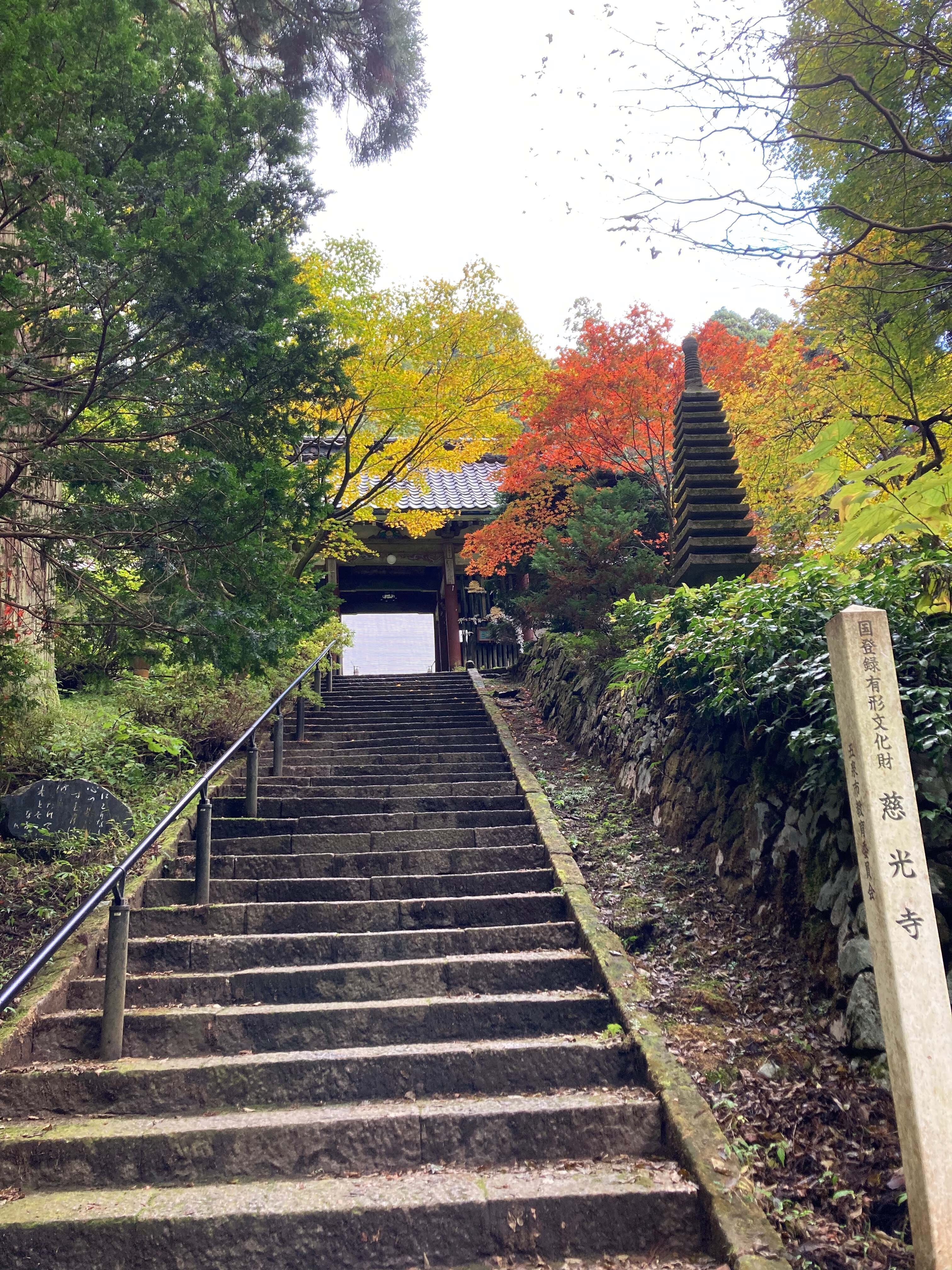 ship夢と虹②ホンモノの静謐 慈光寺｜SHIZUKA